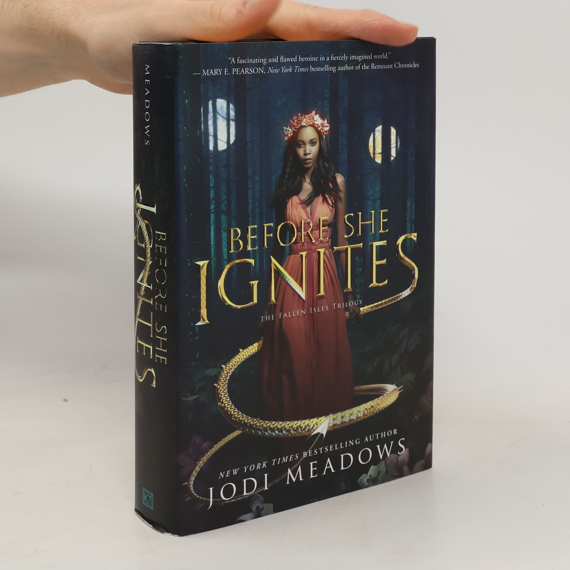 Jodi Meadows Before She Ignites