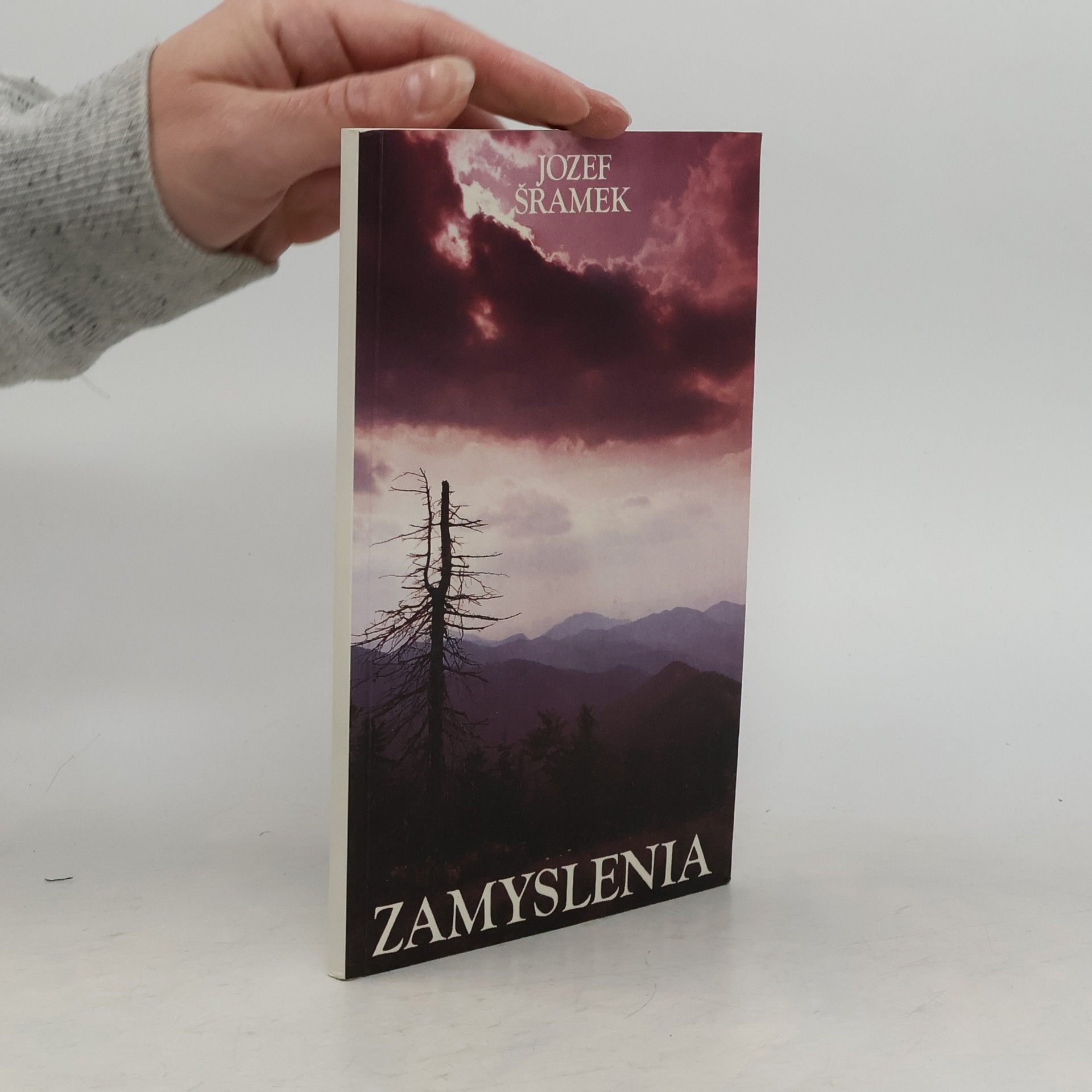 Jozef Šrámek Zamyslenia