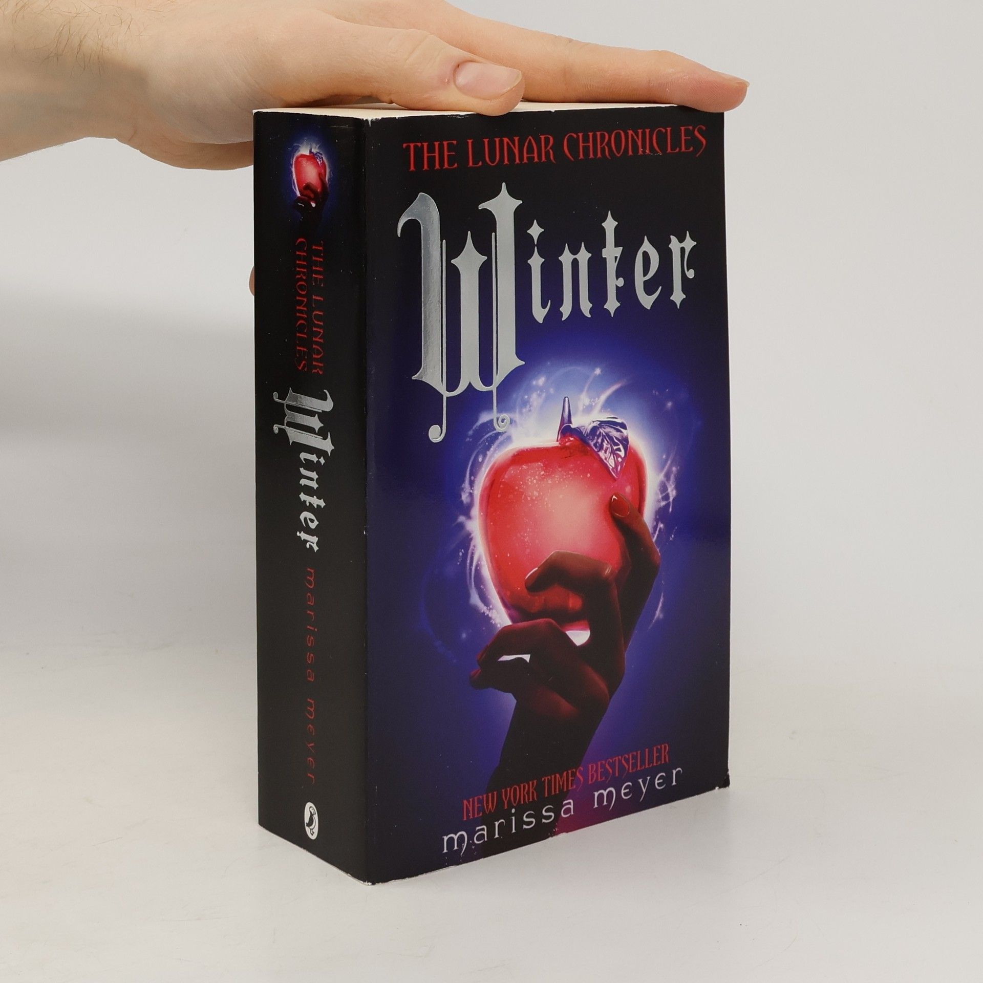 Marissa Meyer Winter