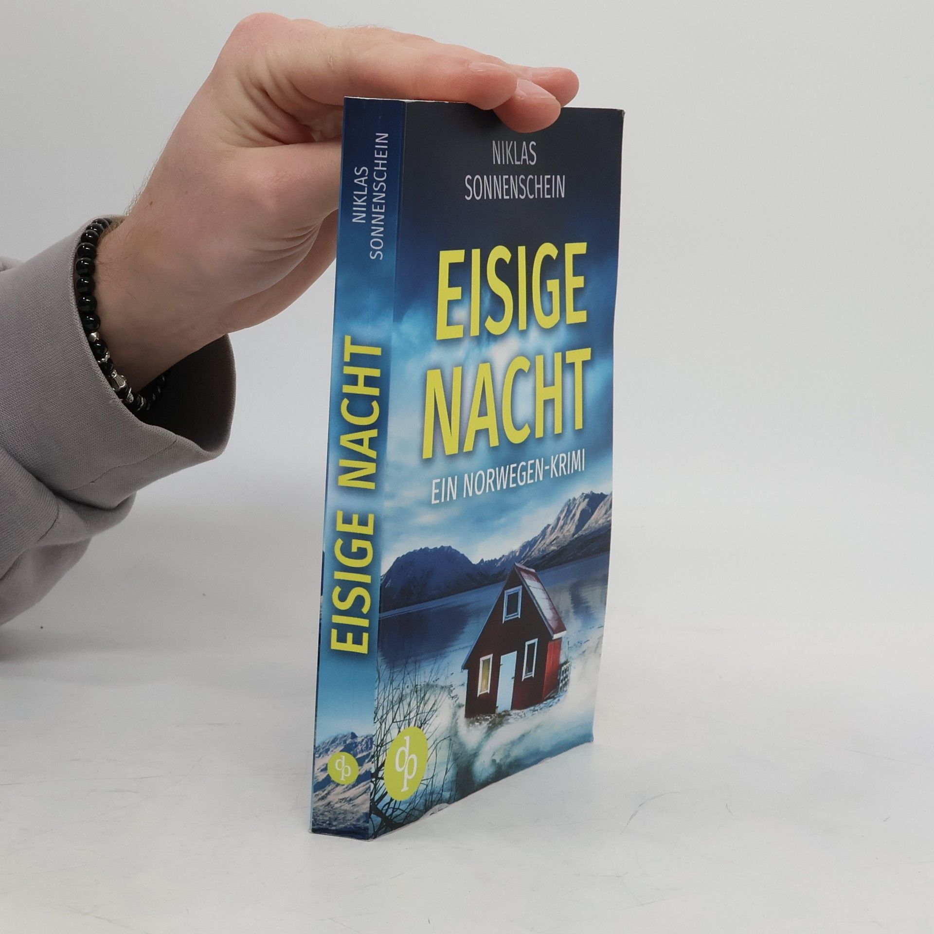 Niklas Sonnenschein Eisige Nacht