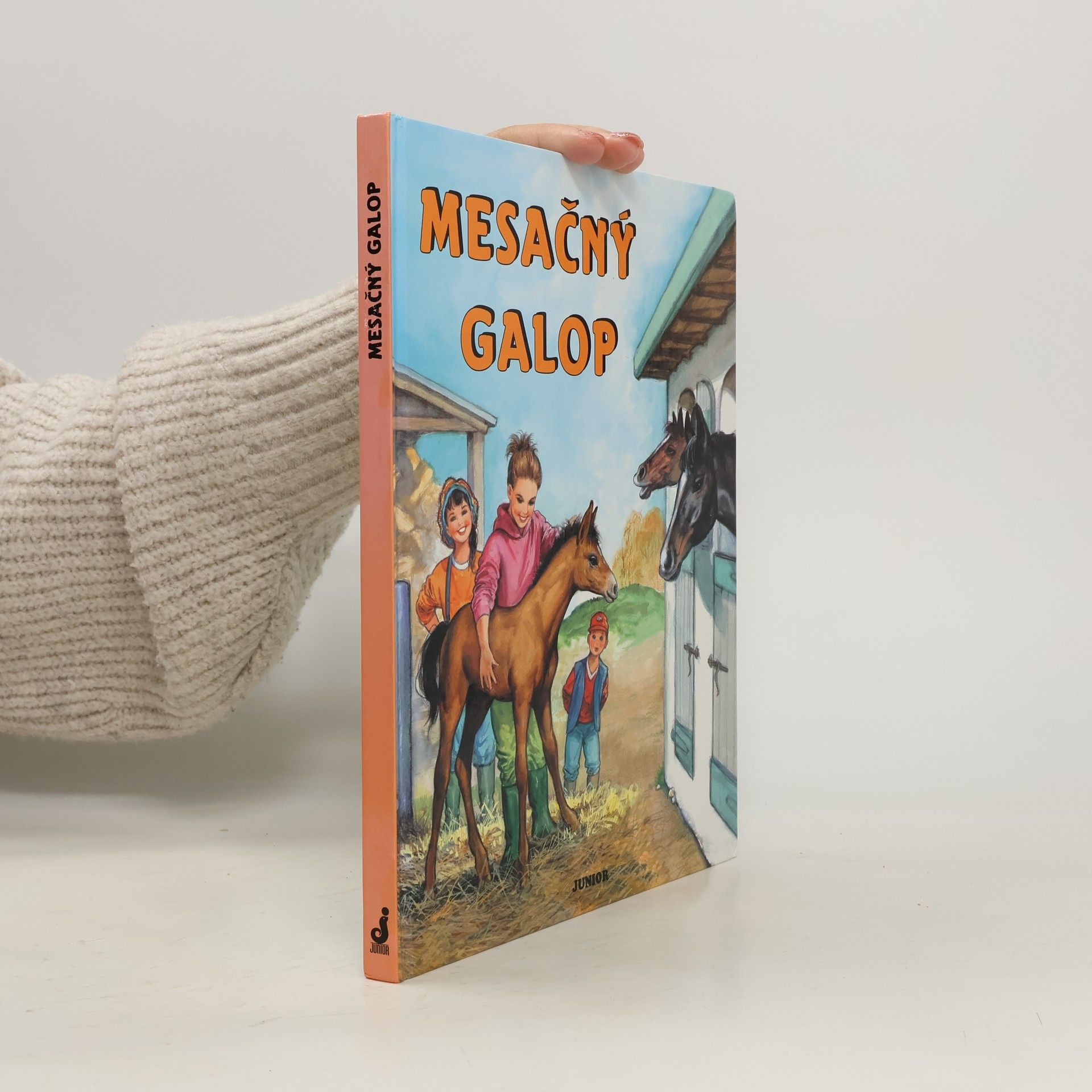 Kolektiv autorů Mesačný galop