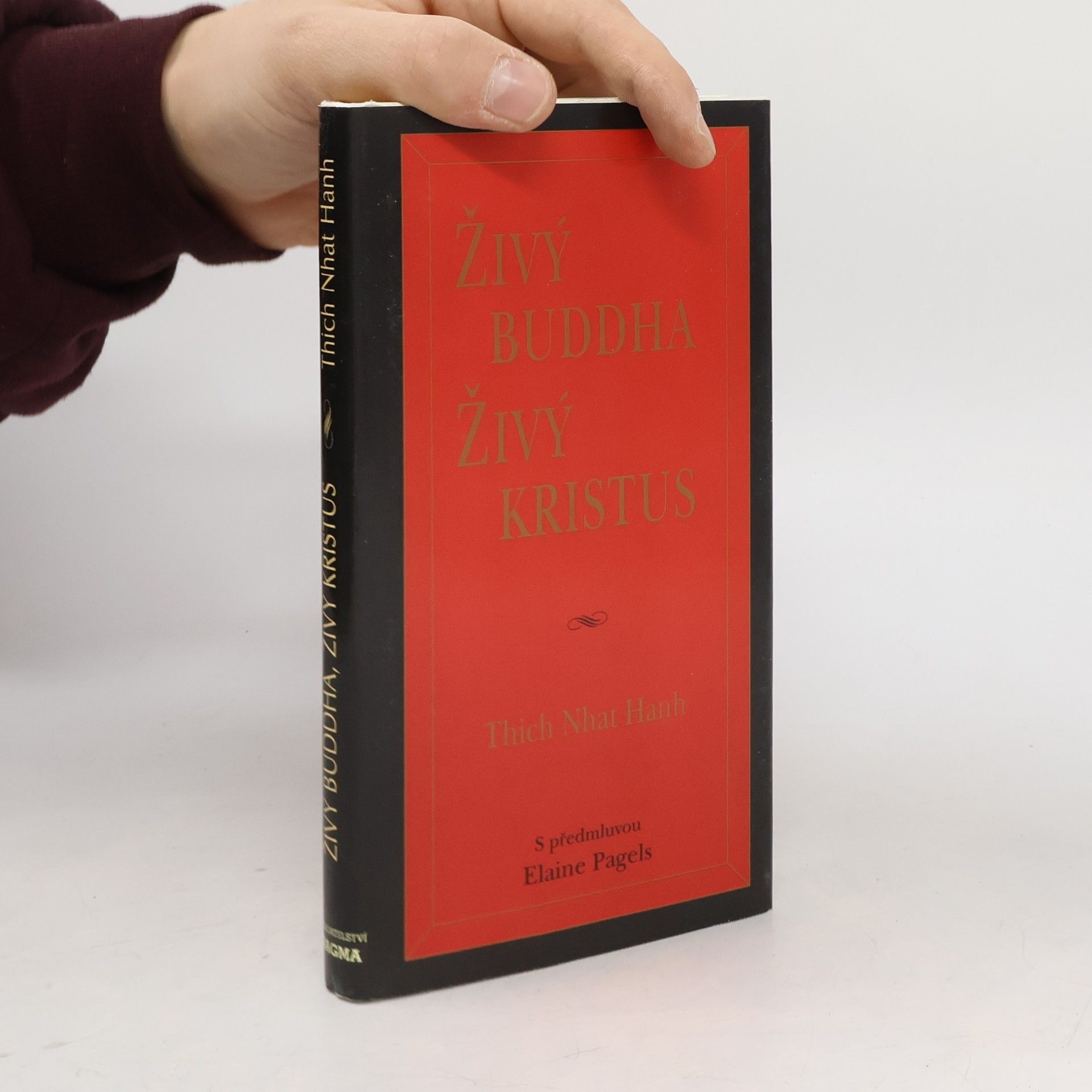 Thich Nhat Hanh Živý buddha, živý Kristus