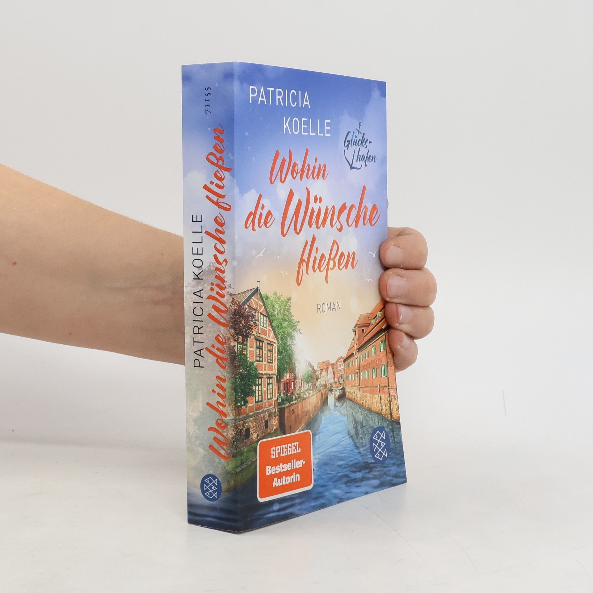 Patricia Koelle Wohin die Wünsche fließen