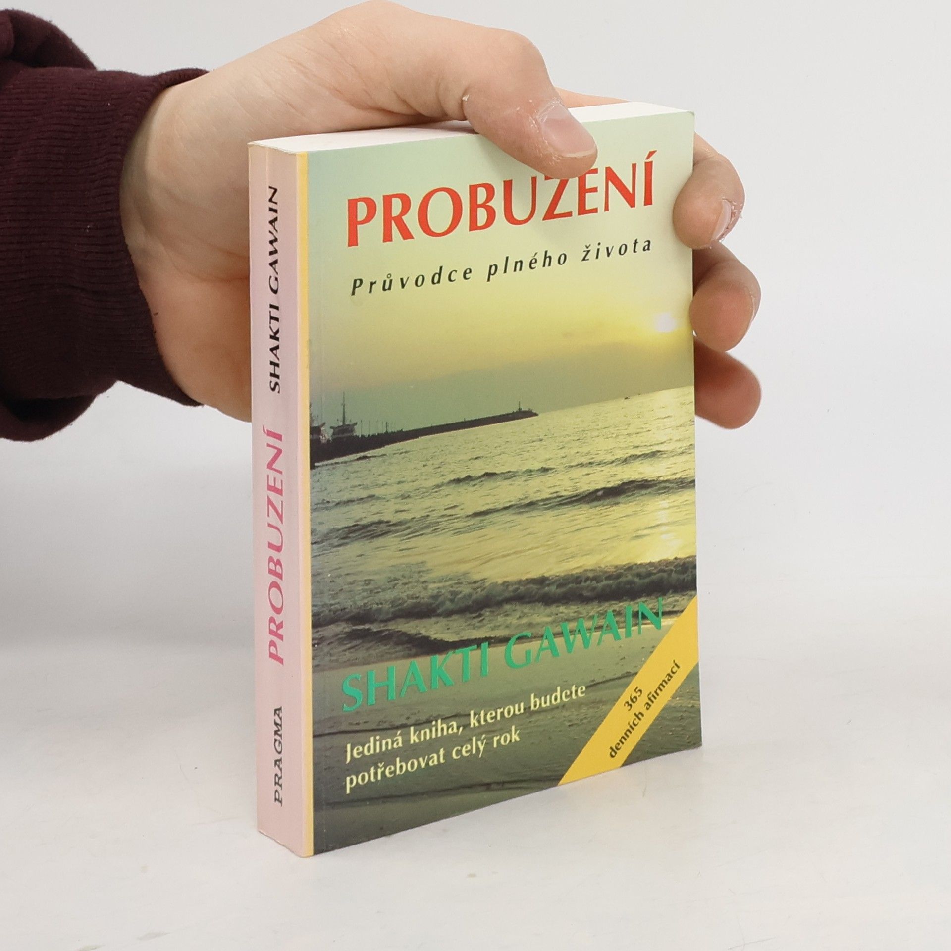 Shakti Gawain Probuzení. Průvodce plného života