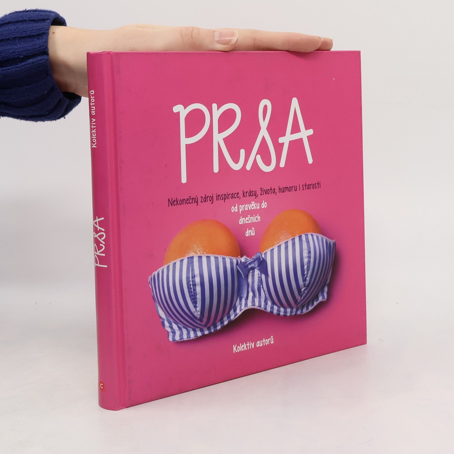 Kolektív autorov Prsa