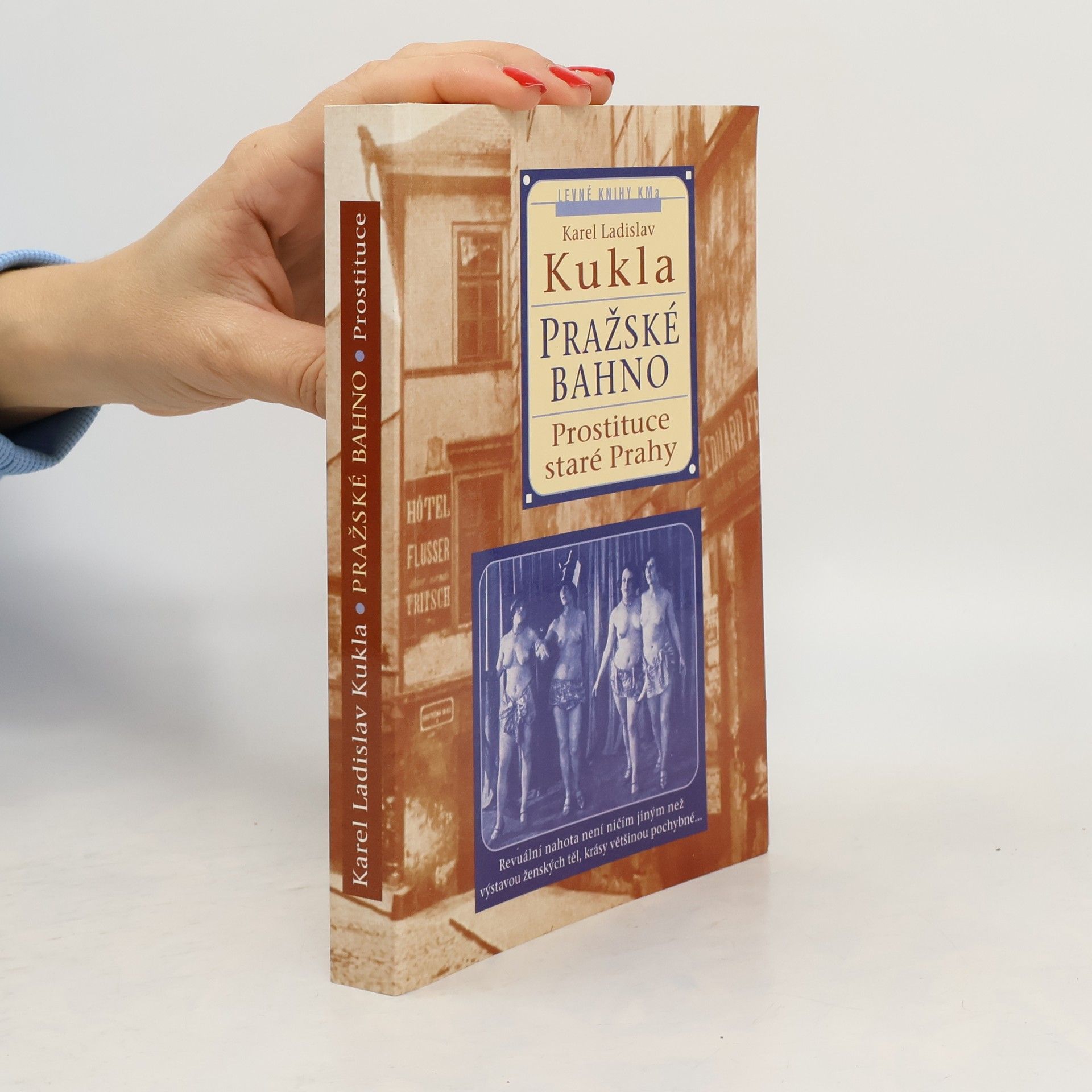 Karel Ladislav Kukla Pražské bahno. 1. díl, Pražská prostituce