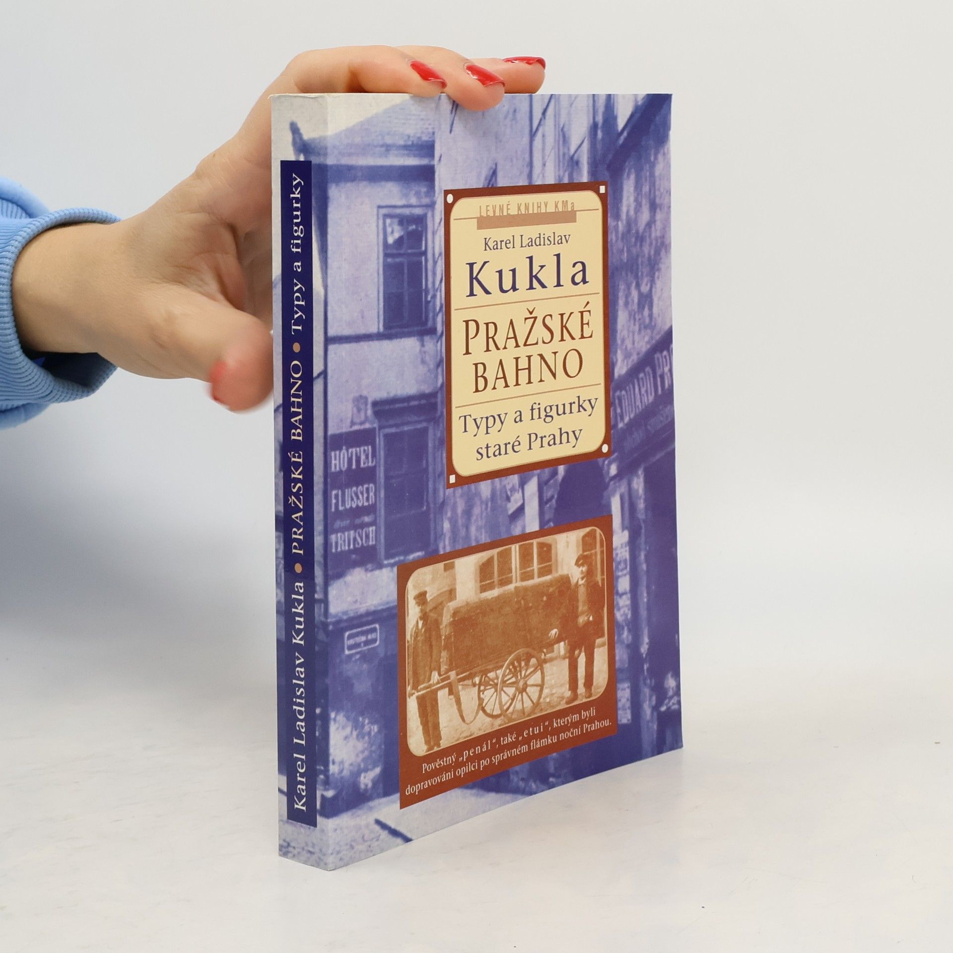 Karel Ladislav Kukla Pražské bahno. 2. díl, Typy a figurky