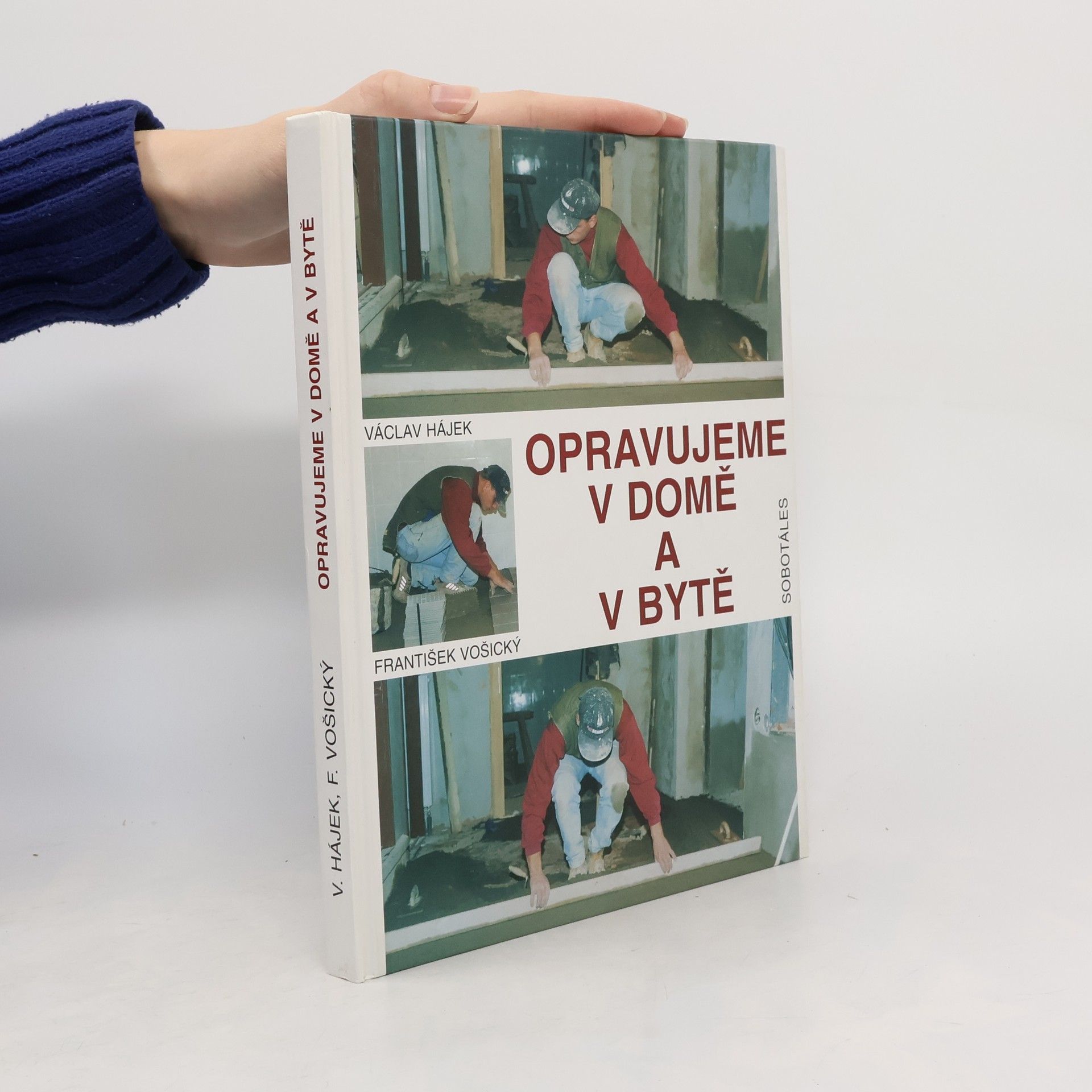 Václav Hájek Opravujeme v domě a v bytě