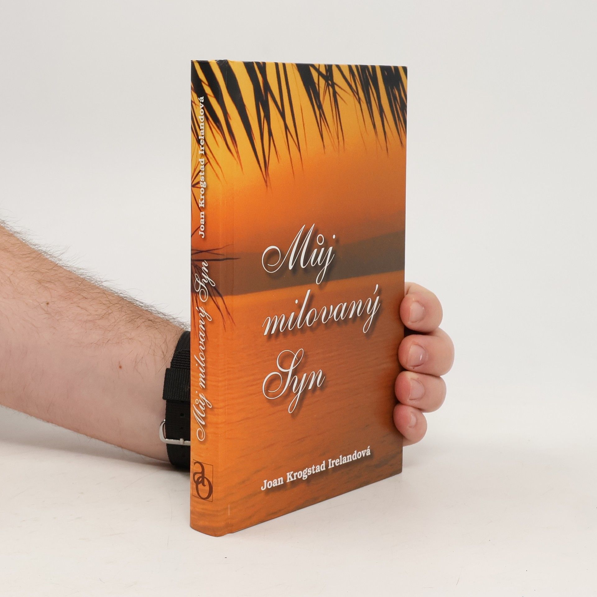 Joan Krogstad Ireland Můj milovaný Syn: Život Ježíše Krista očima Marie