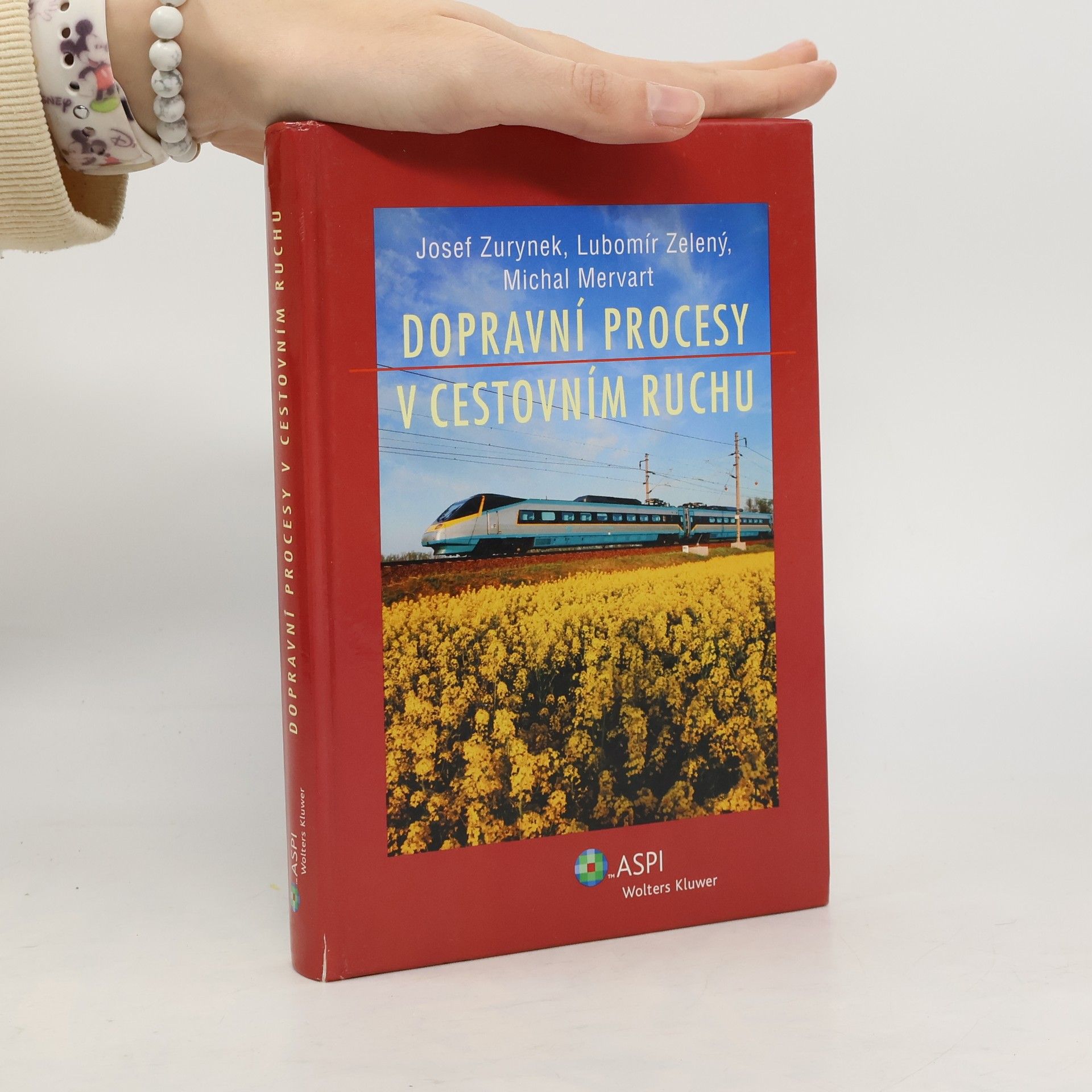 Josef Zurynek Dopravní procesy v cestovním ruchu