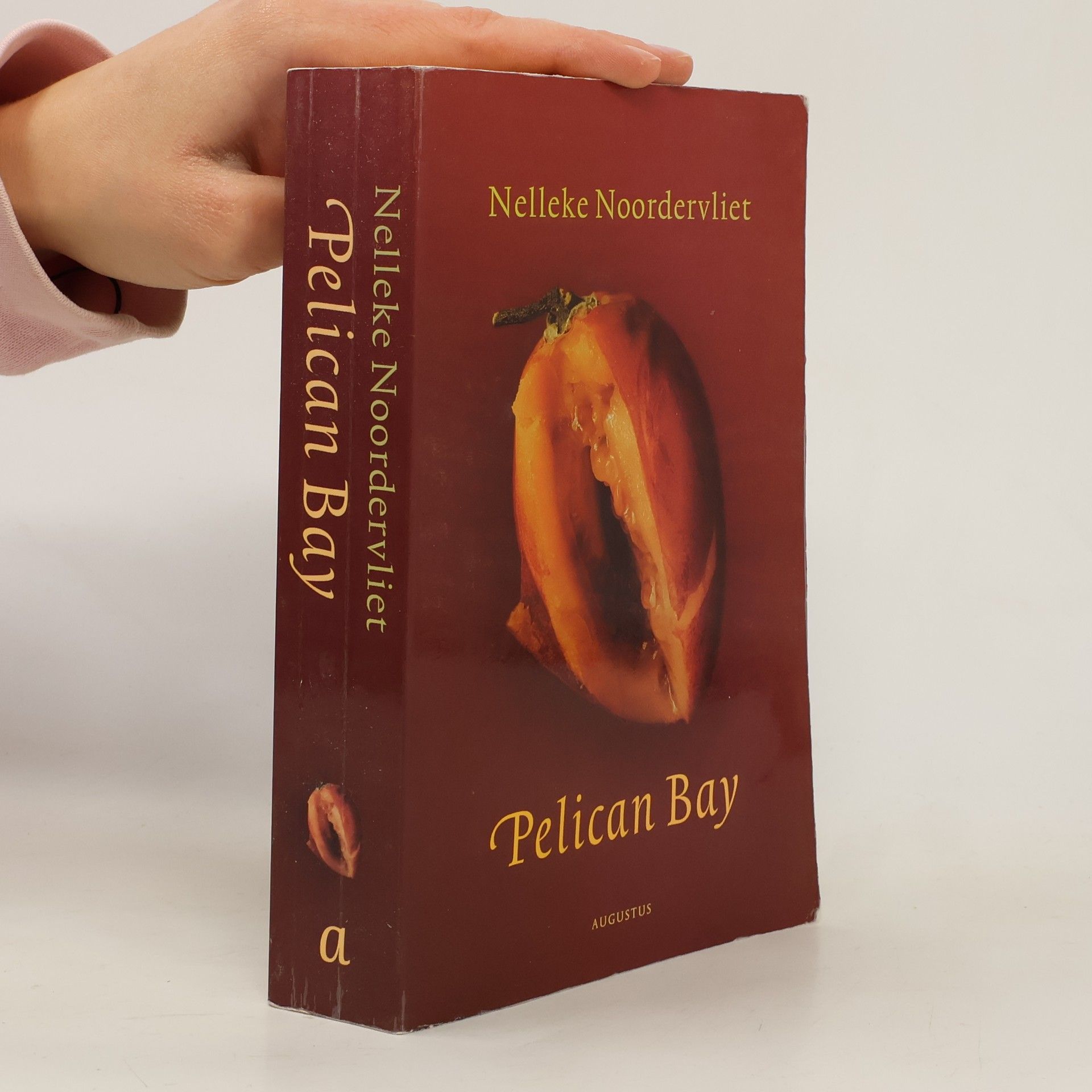 Nelleke Noordervliet Pelican Bay