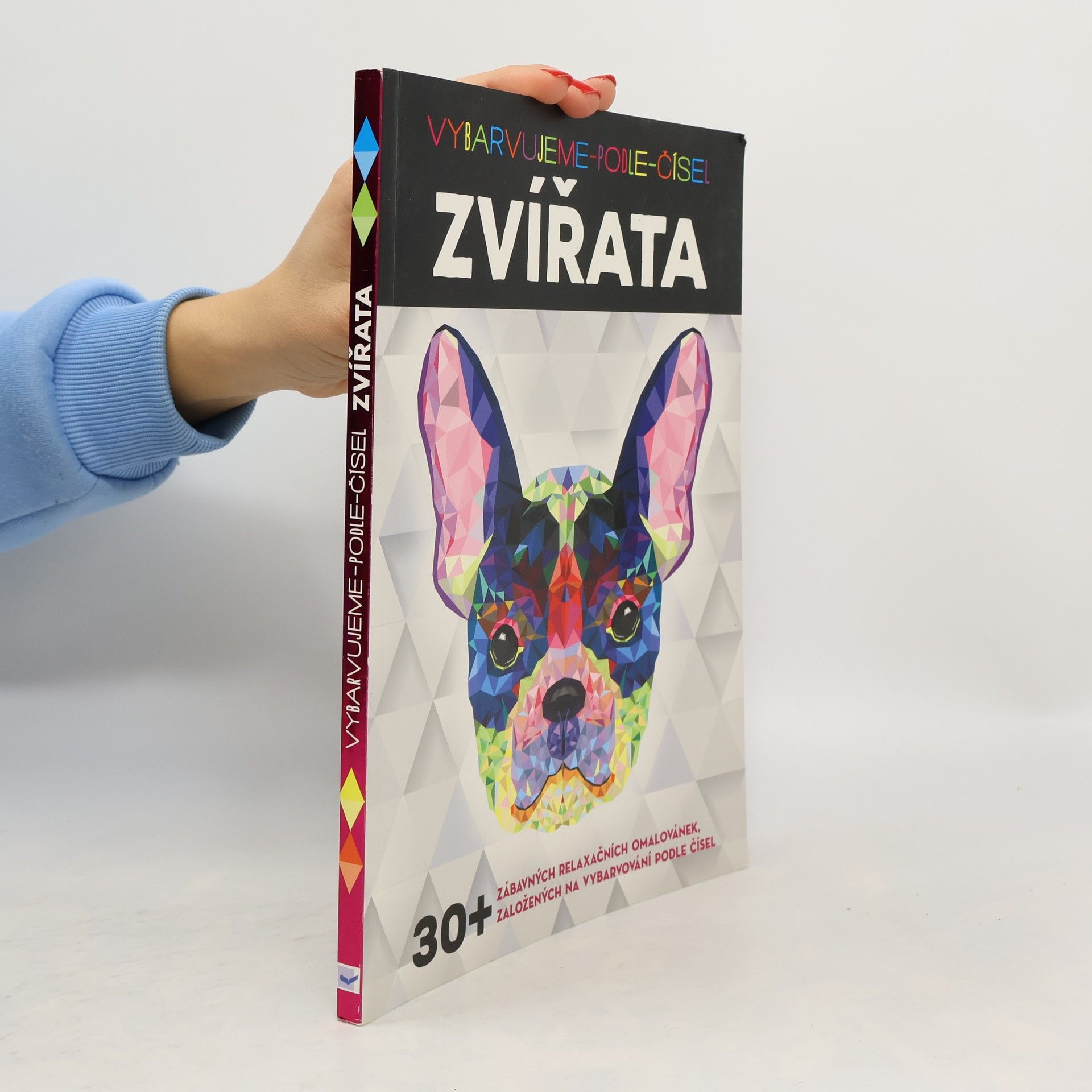 Zvířata. Vybarvujeme podle čísel