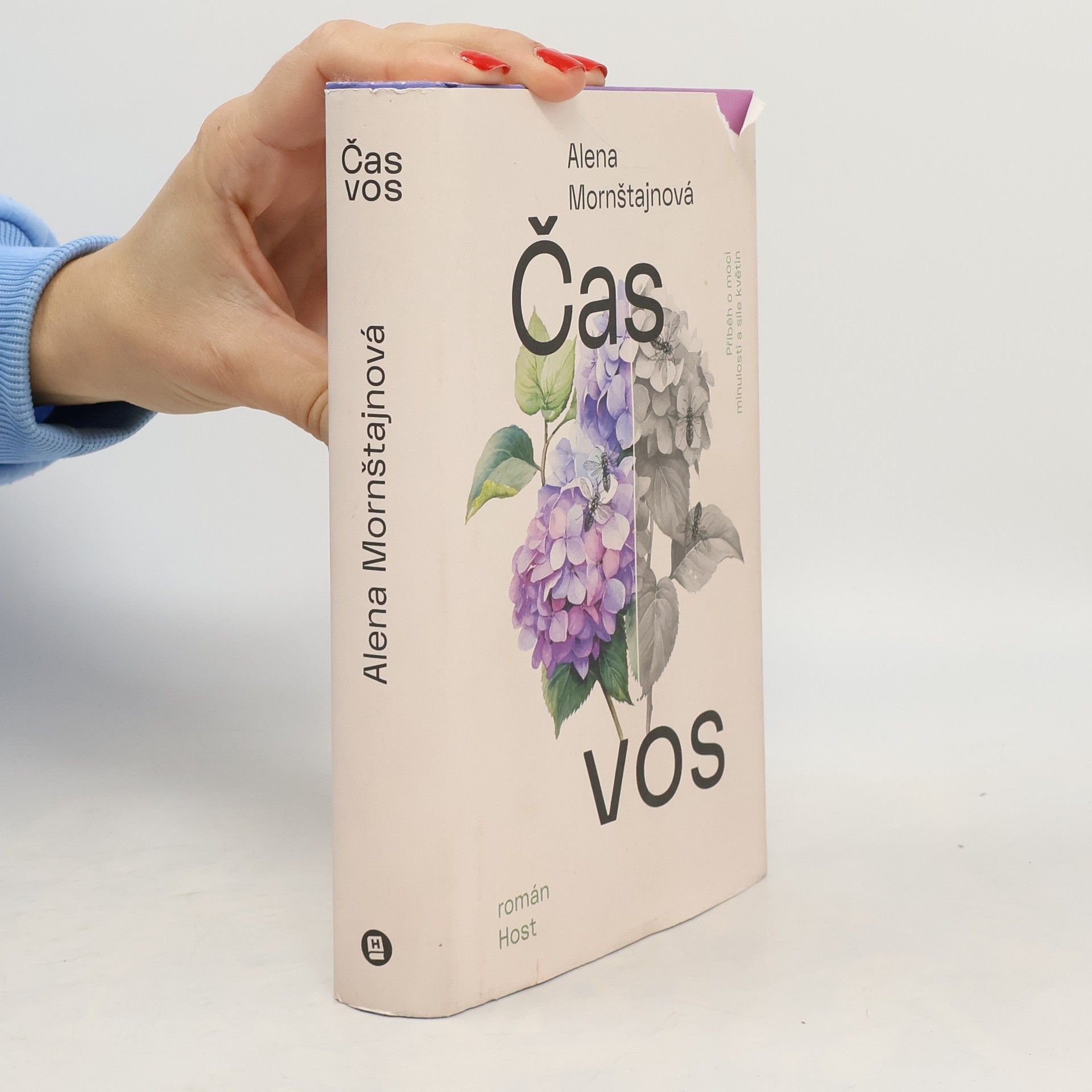 Alena Mornštajnová Čas vos