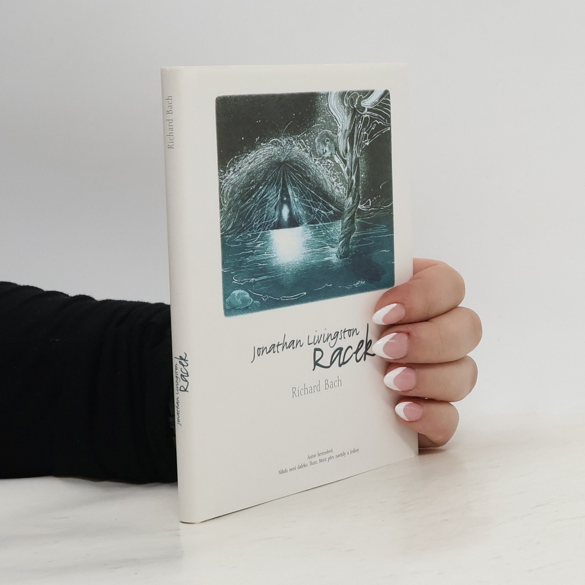 Richard David Bach Jonathan Livingston: Racek