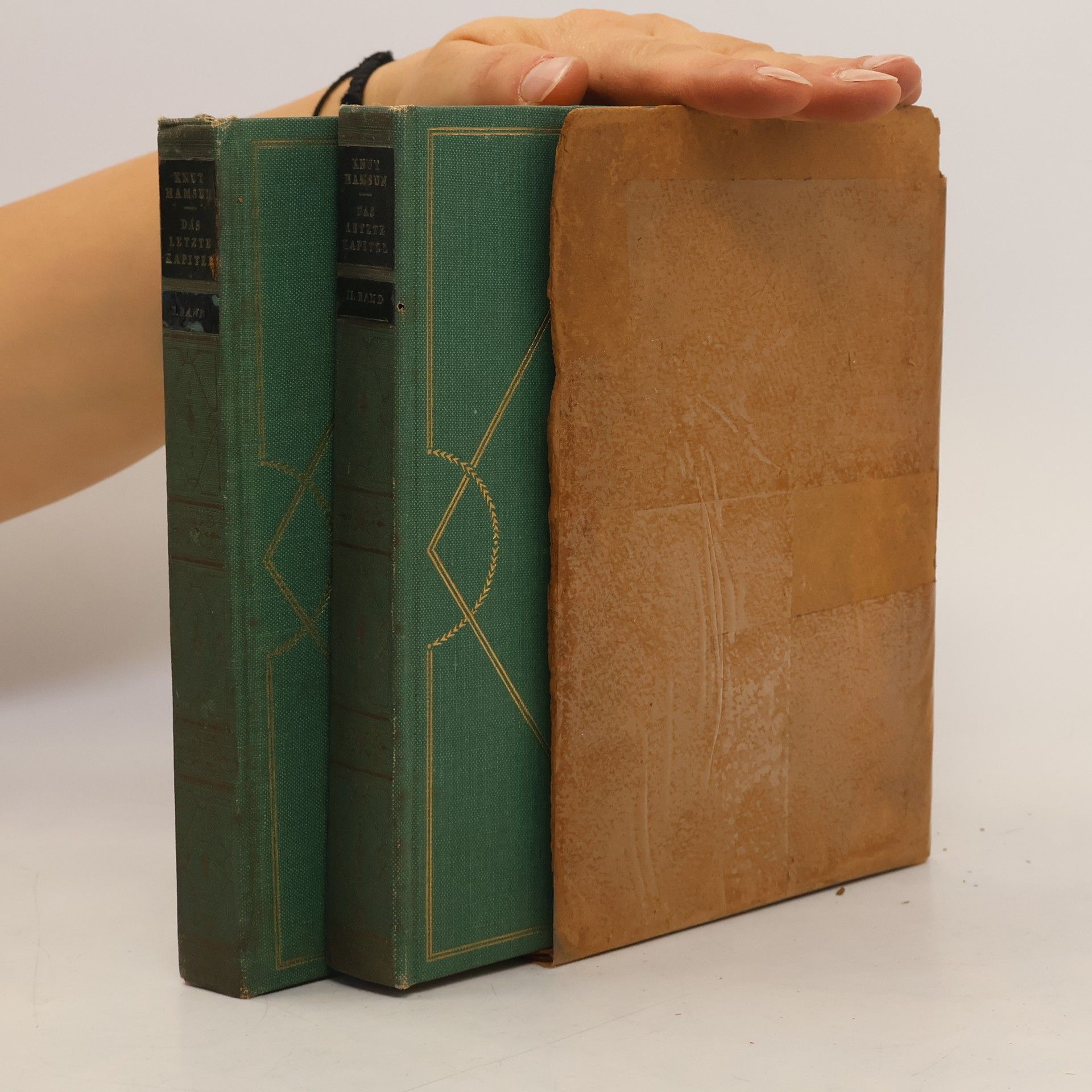 Knut Hamsun Das letzte Kapitel 1-2