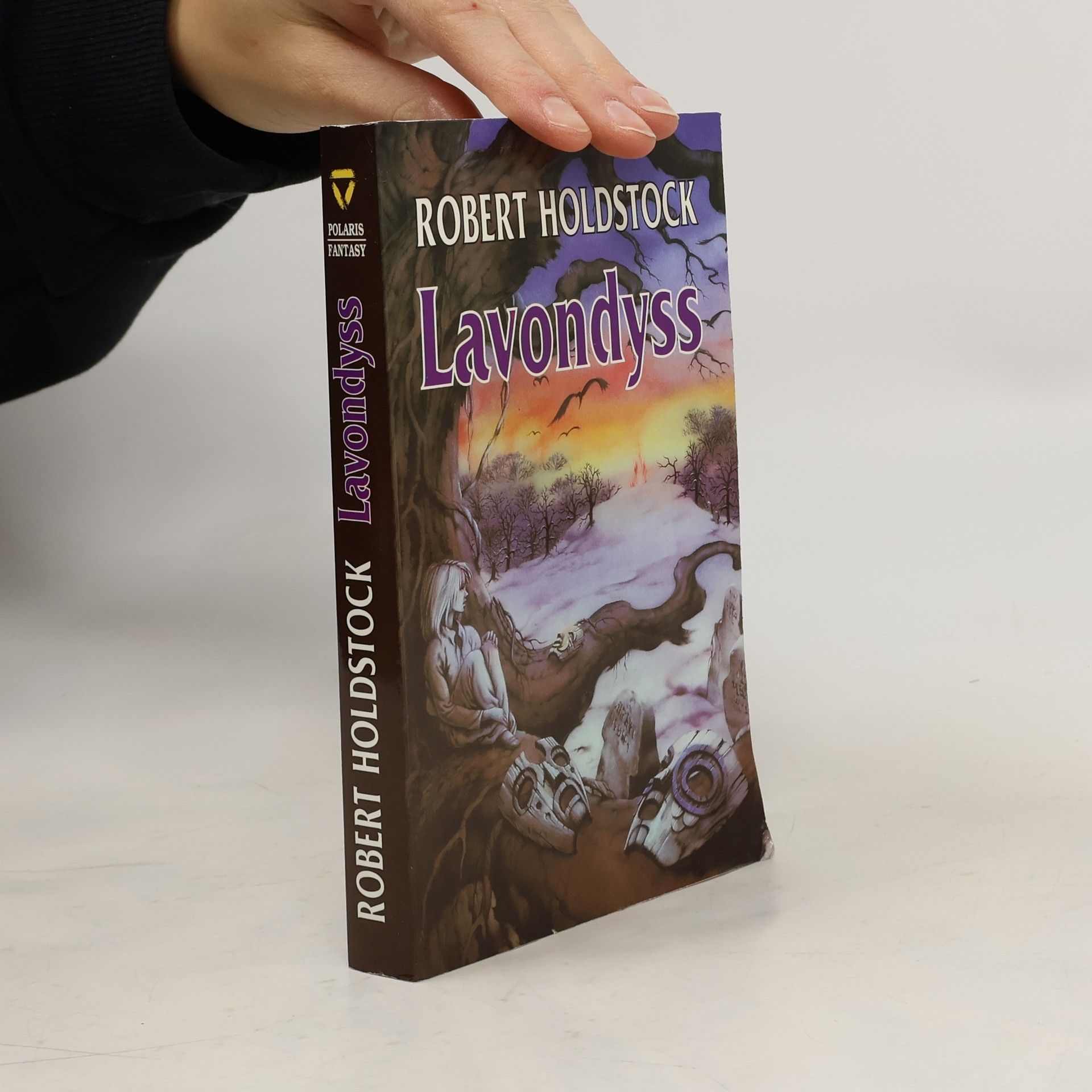 Robert Holdstock Lavondyss : cesta do neznámé země