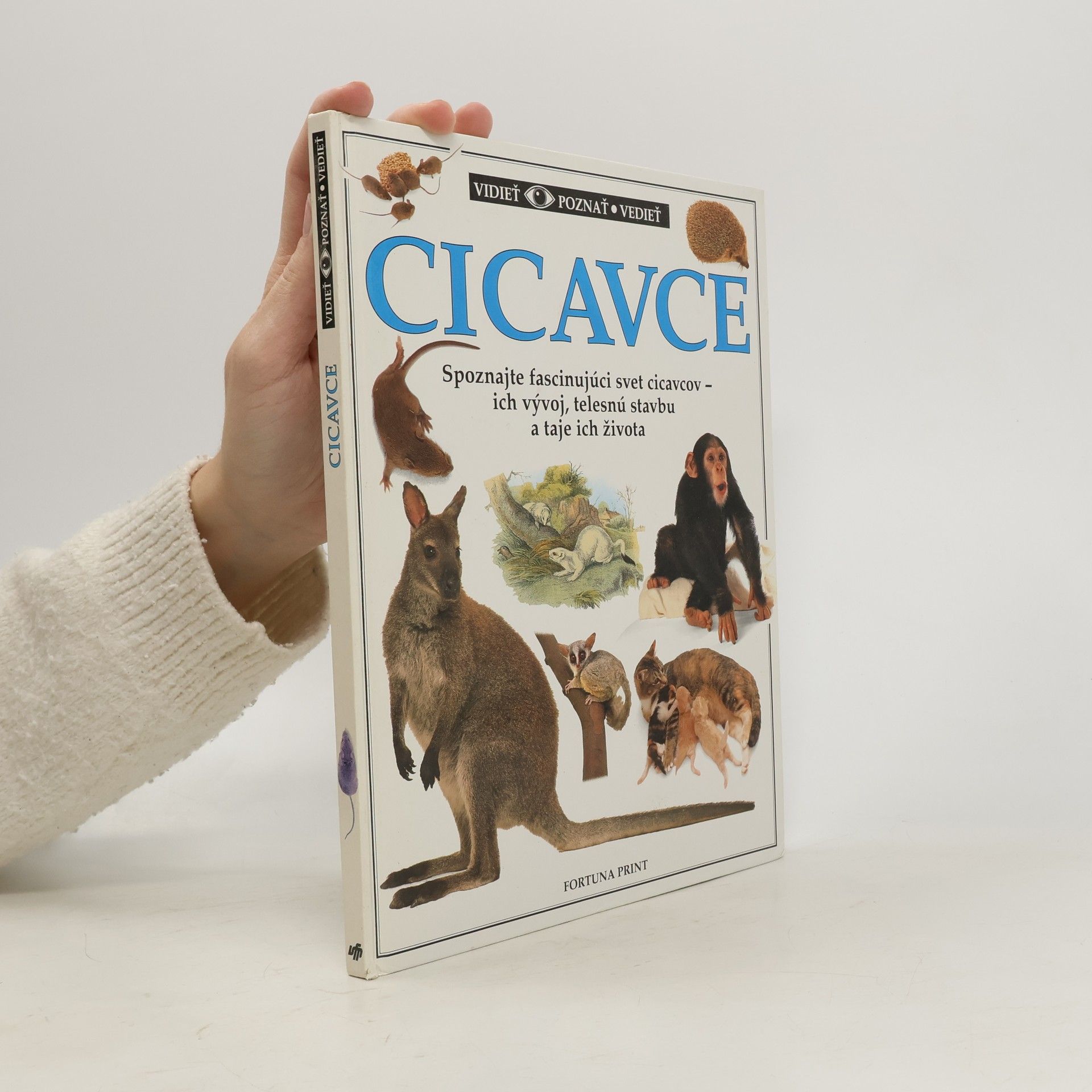 Auteurscollectief Cicavce