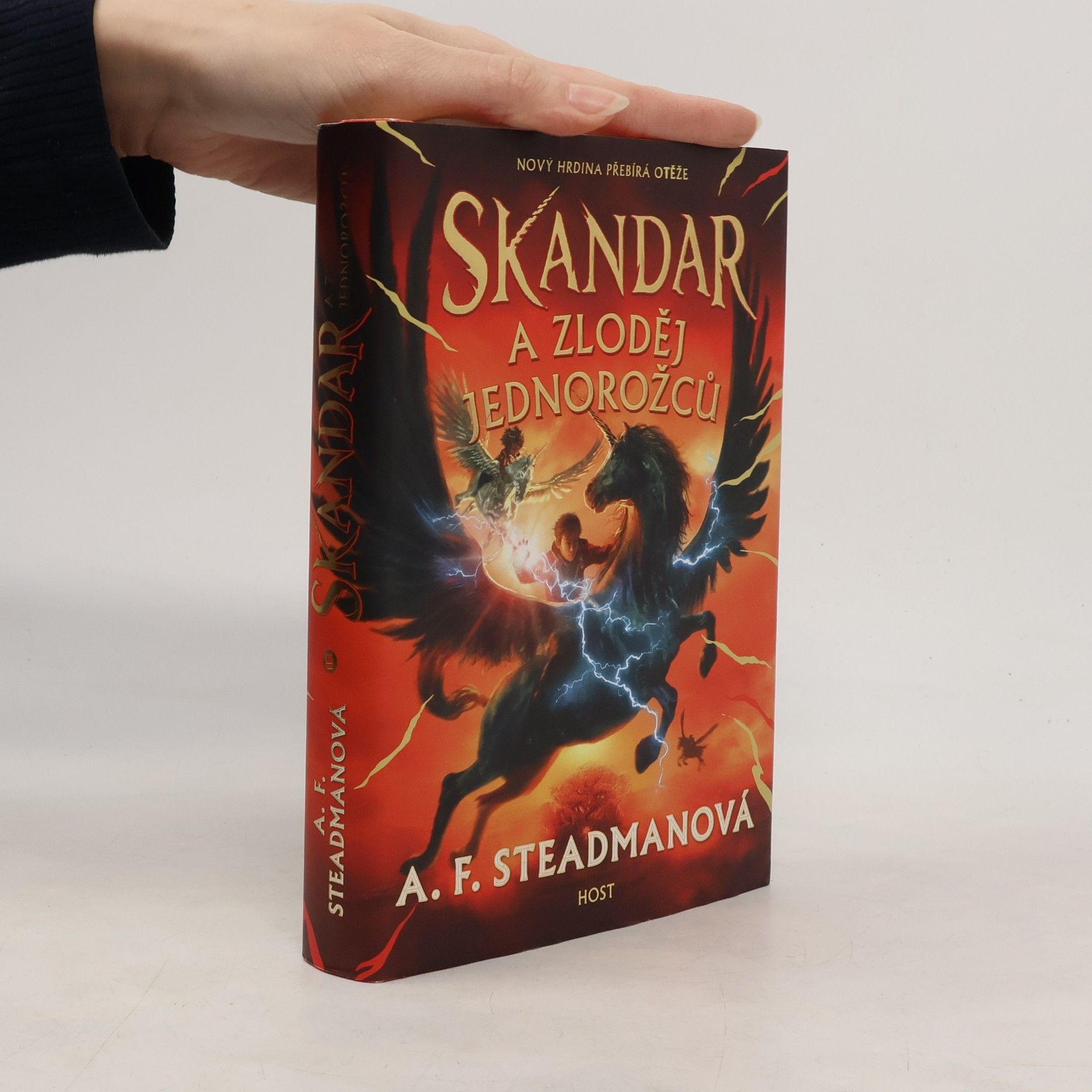 Daniela Orlando Skandar a zloděj jednorožců