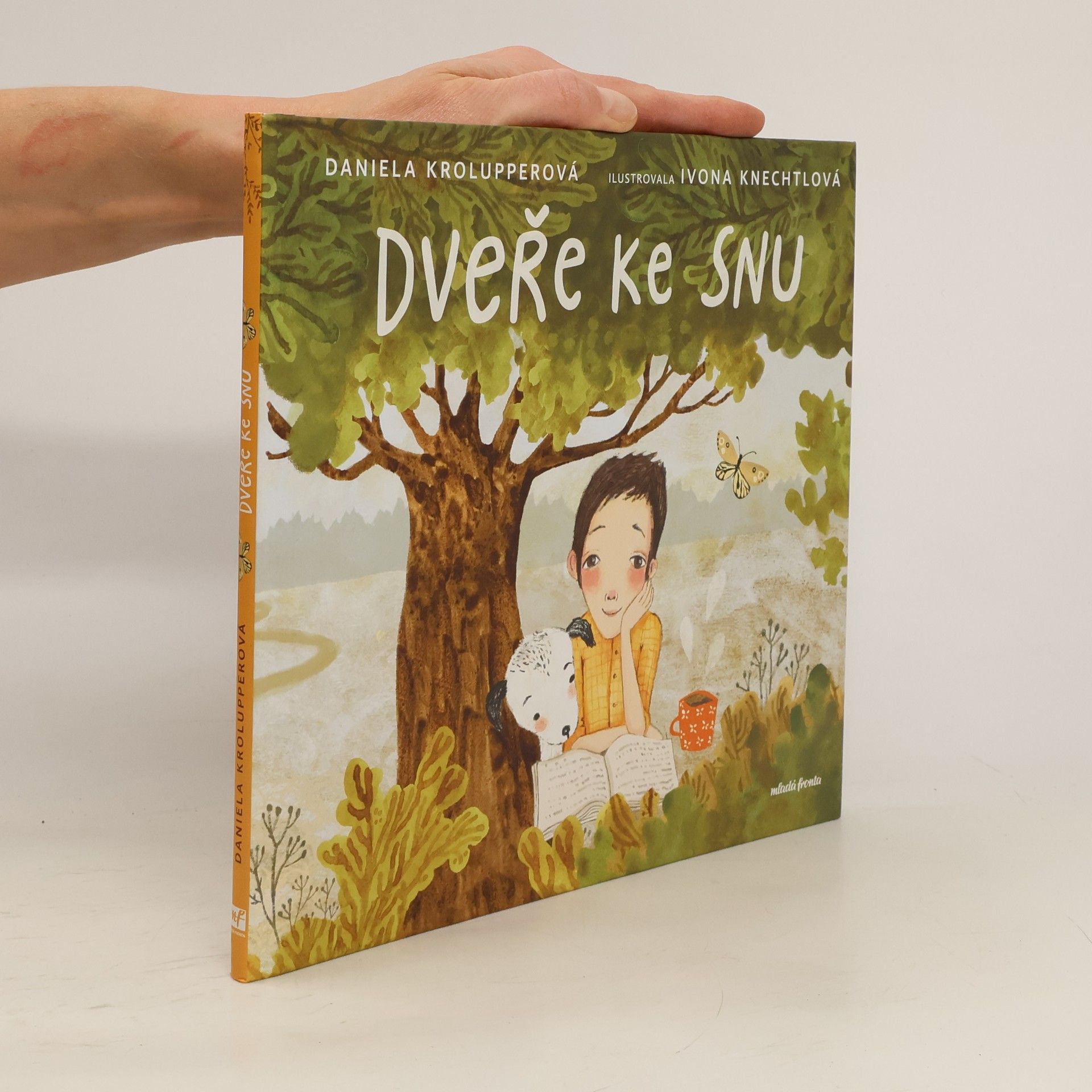 Daniela Krolupperová Dveře ke snu