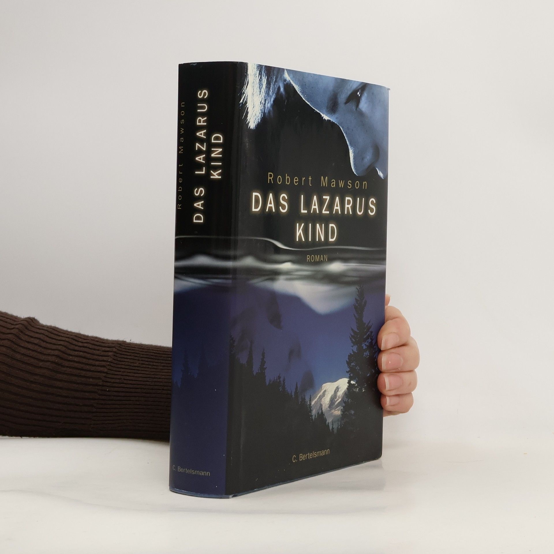 Robert Mawson Das Lazarus-Kind