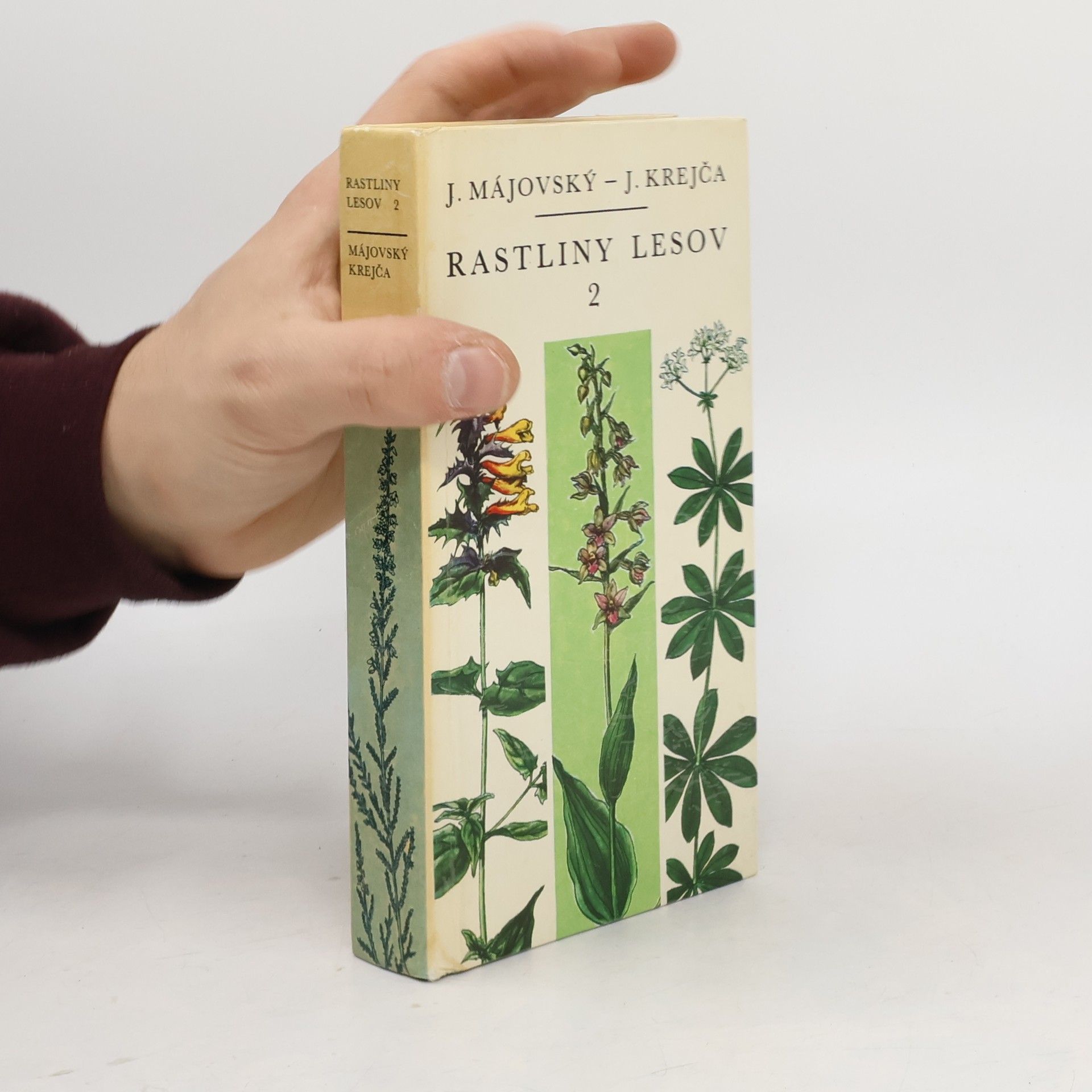 Auteurscollectief Rastliny lesov 2