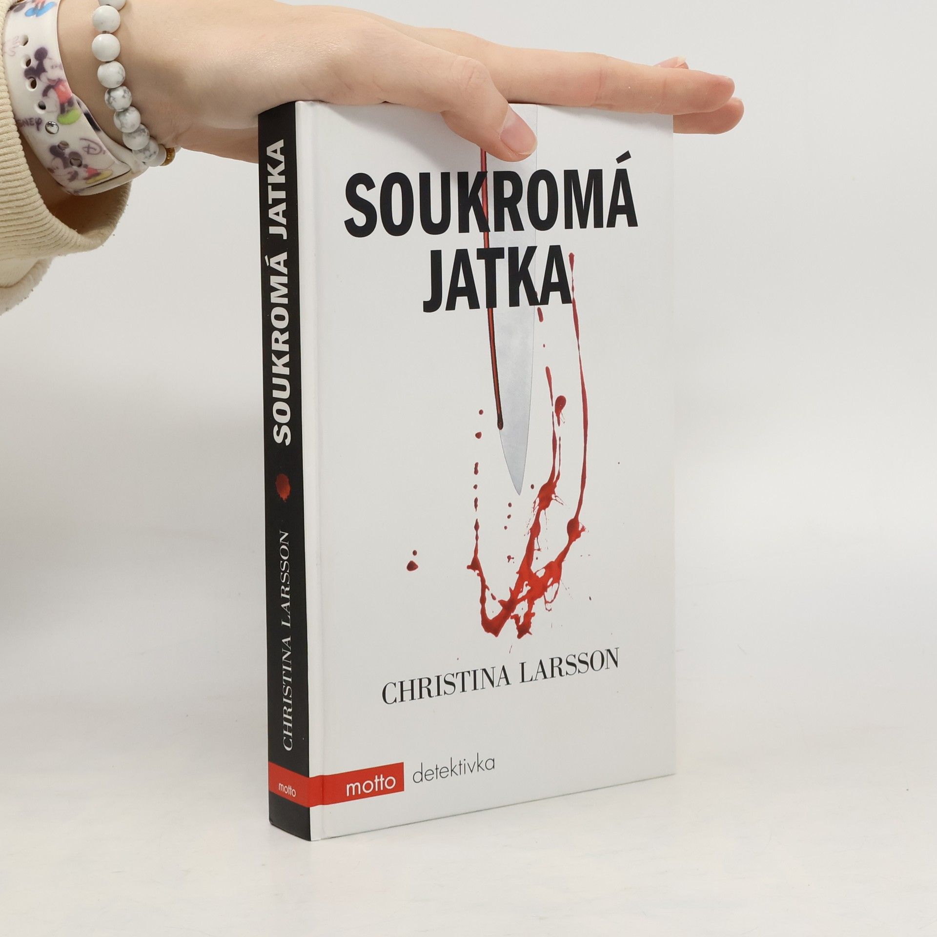 Christina Larsson Soukromá jatka