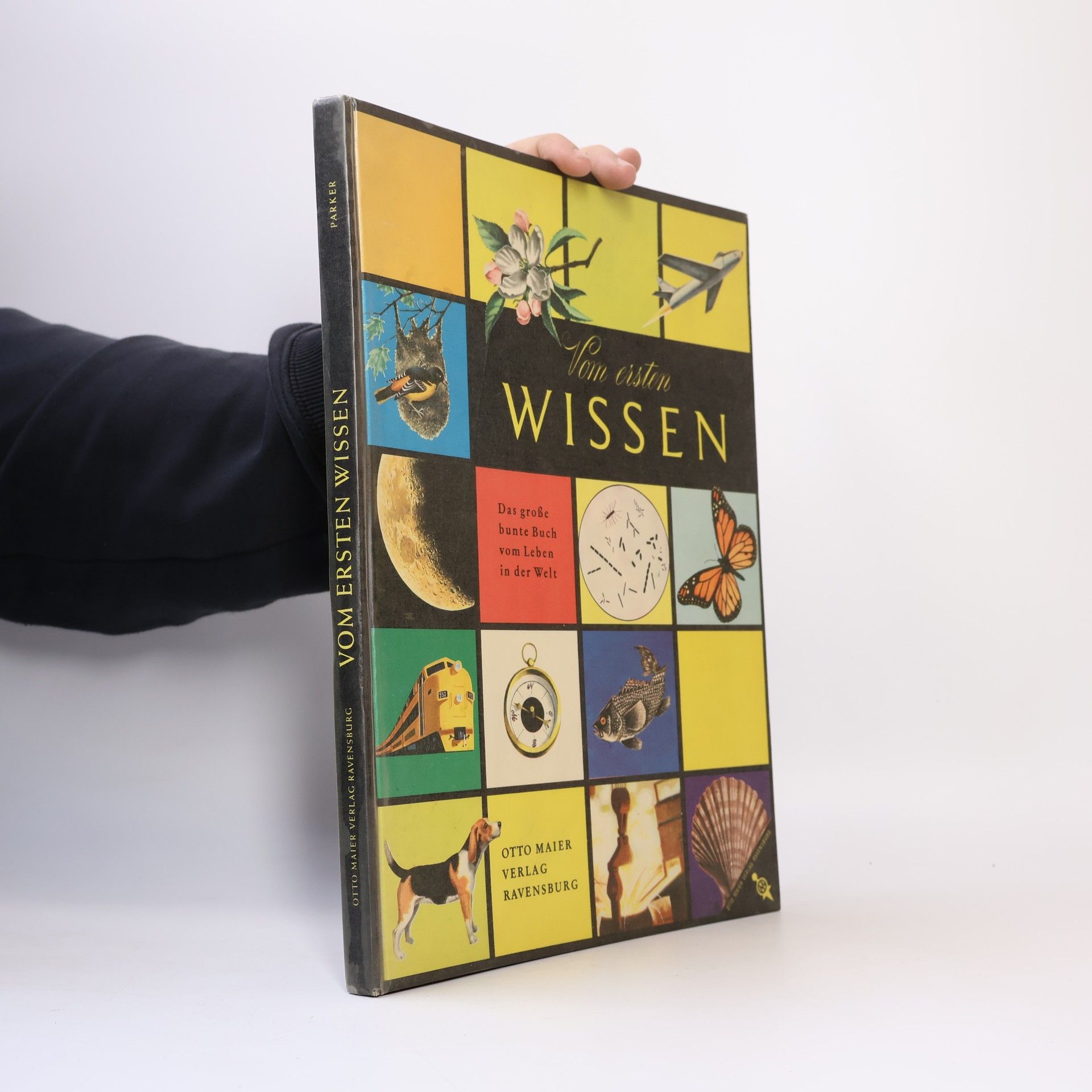 Bertha Morris Parker Vom ersten Wissen