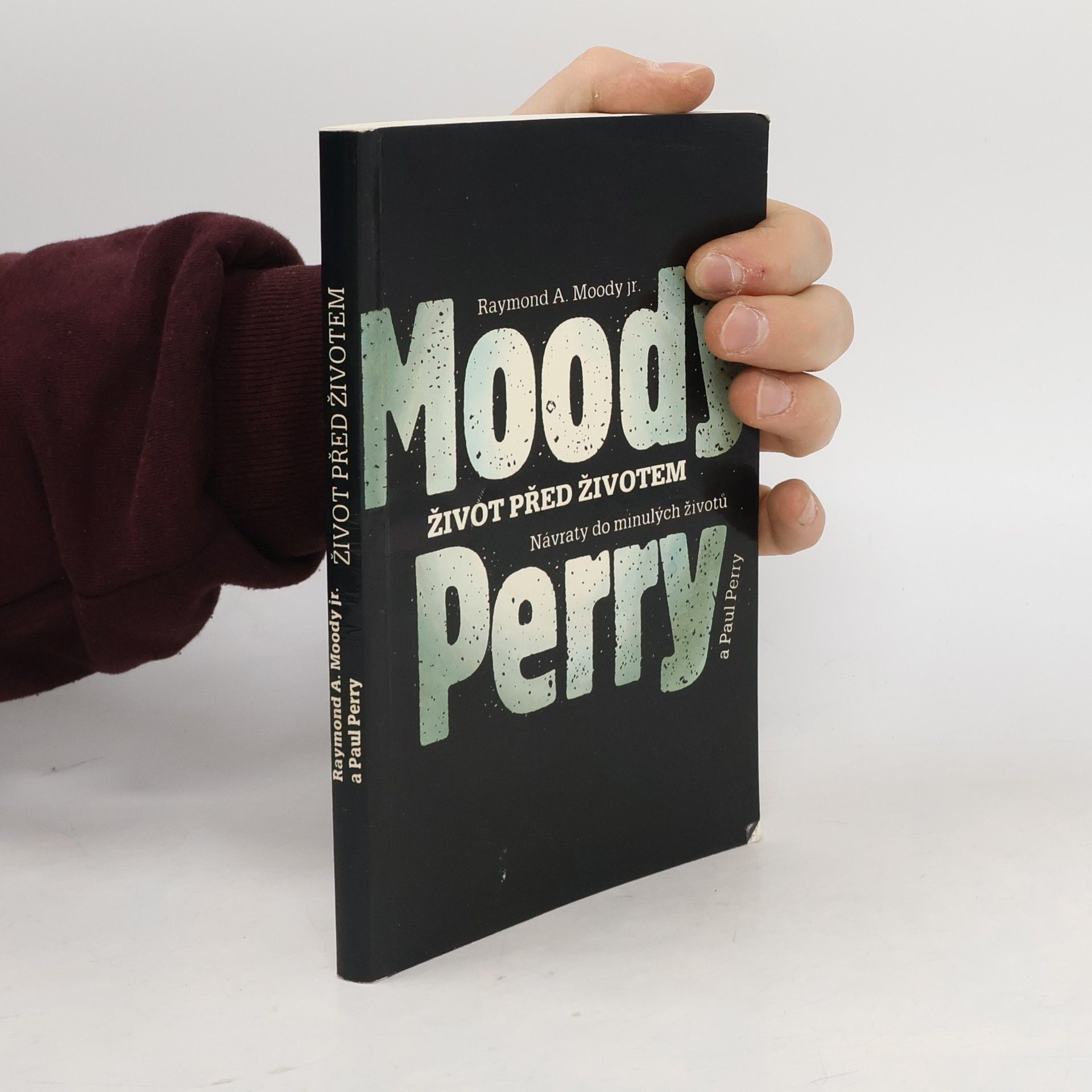 Raymond Moody Život před životem: Návraty do minulých životů