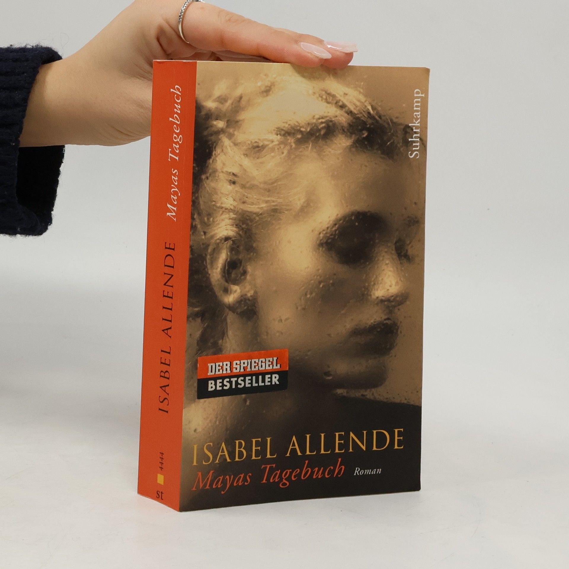 Isabel Allende Mayas Tagebuch