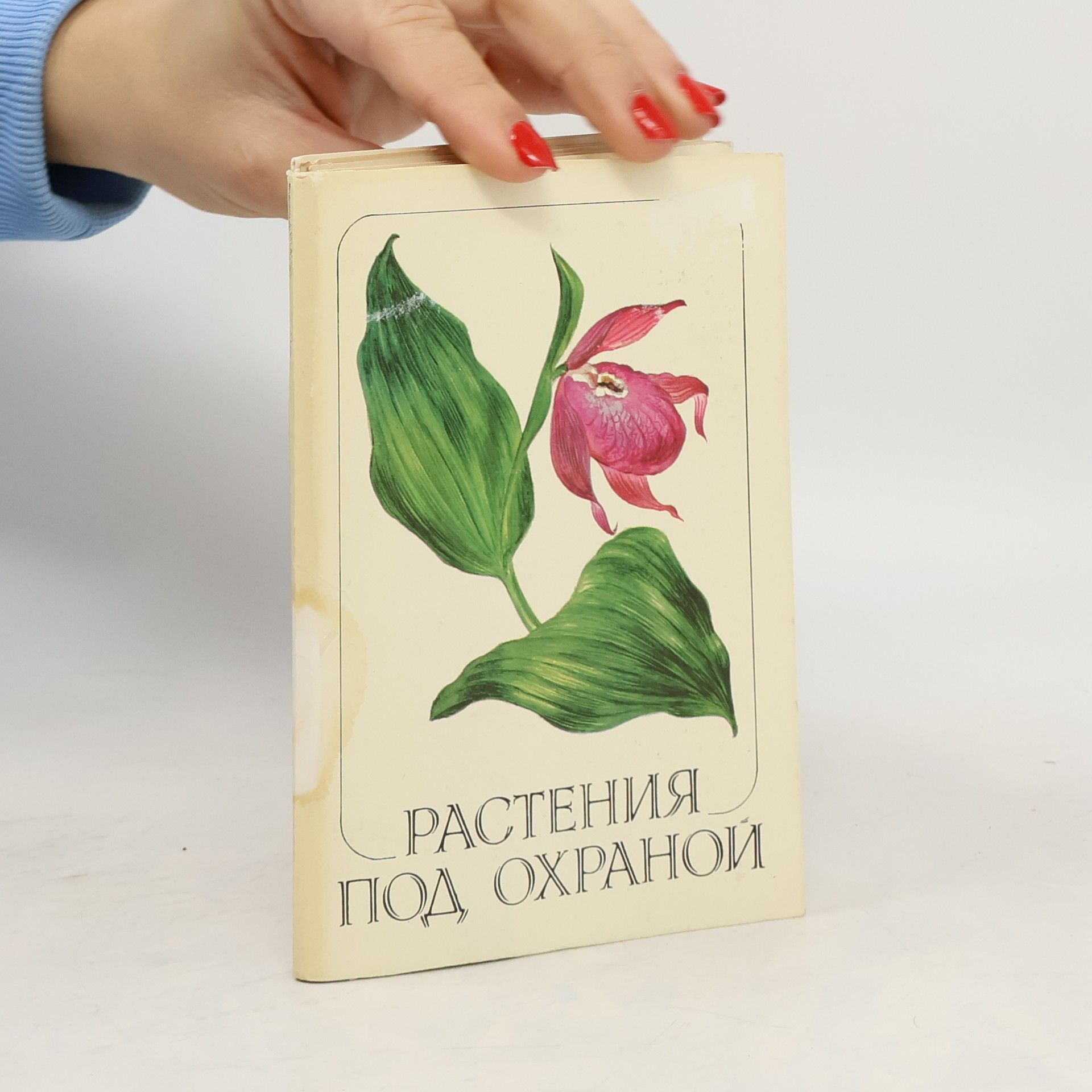 Kolektív autorov Растения под охраной