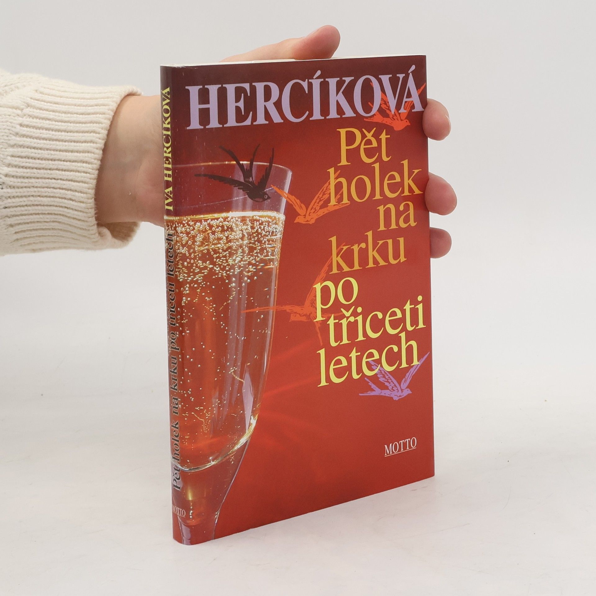 Iva Hercíková Pět holek na krku po třiceti letech