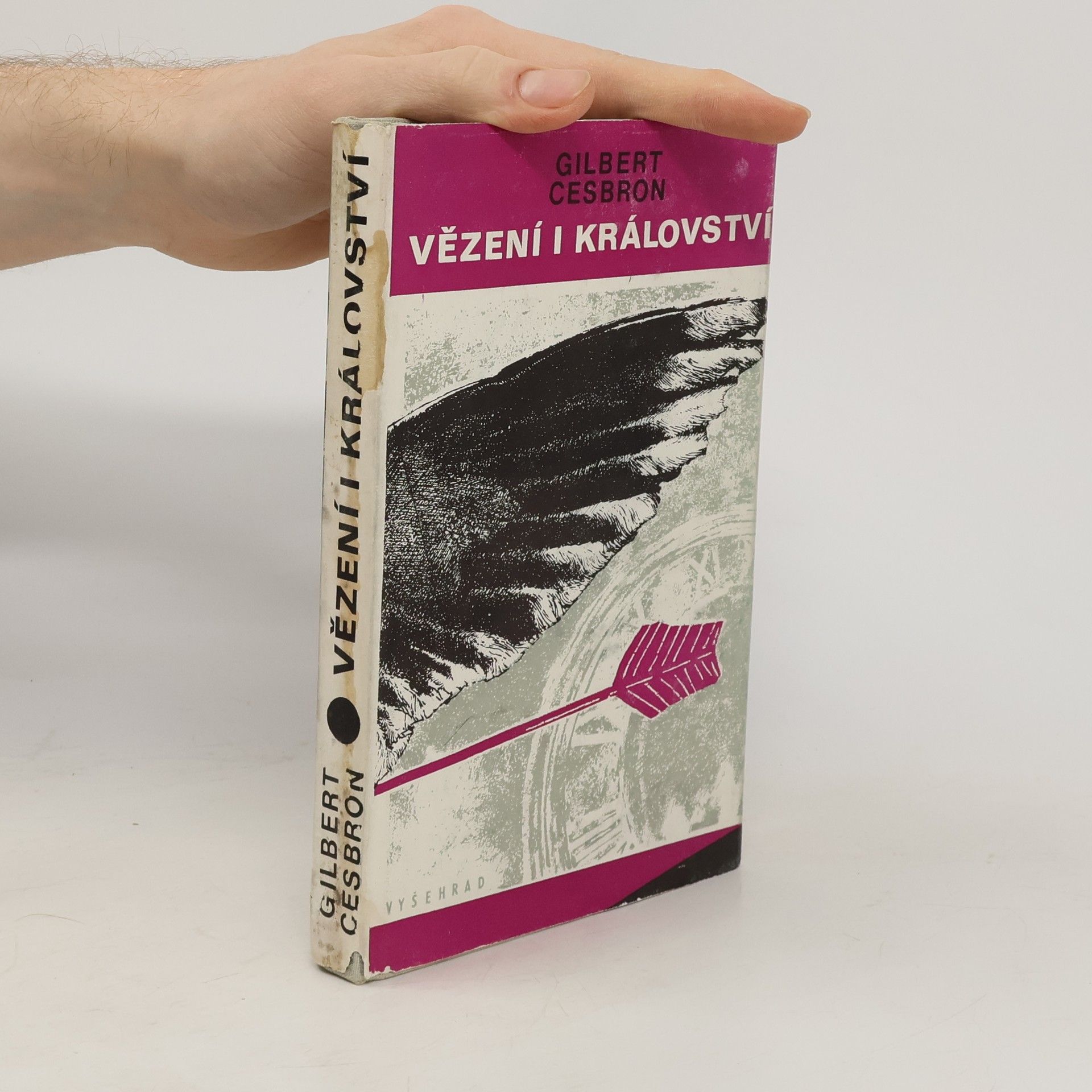 Vladimír Binar Vězení i království