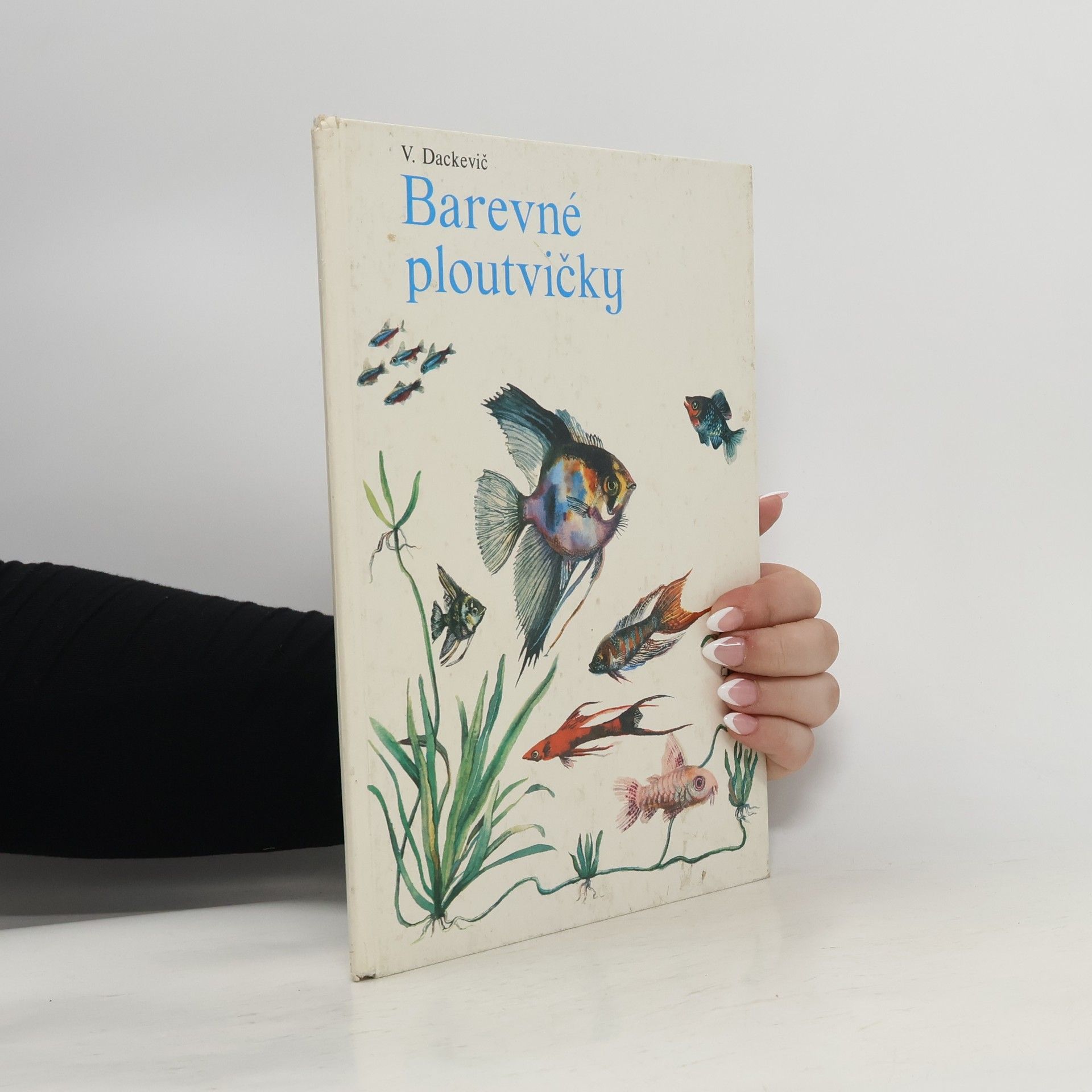 Viktor Dackevič Barevné ploutvičky