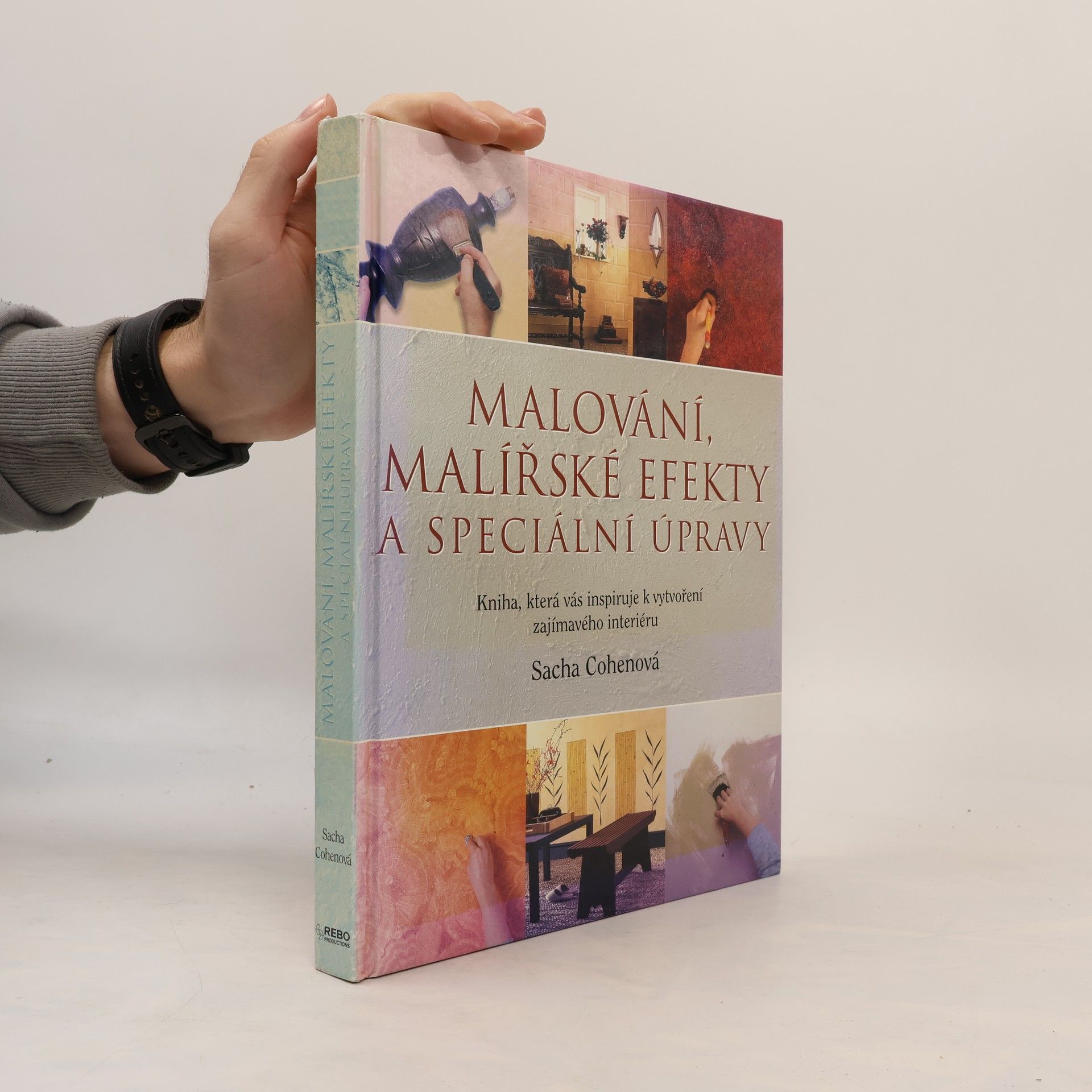 Sacha Cohen Malování, malířské efekty a speciální úpravy. Kniha, která vás inspiruje k vytvoření zajímavého interiéru