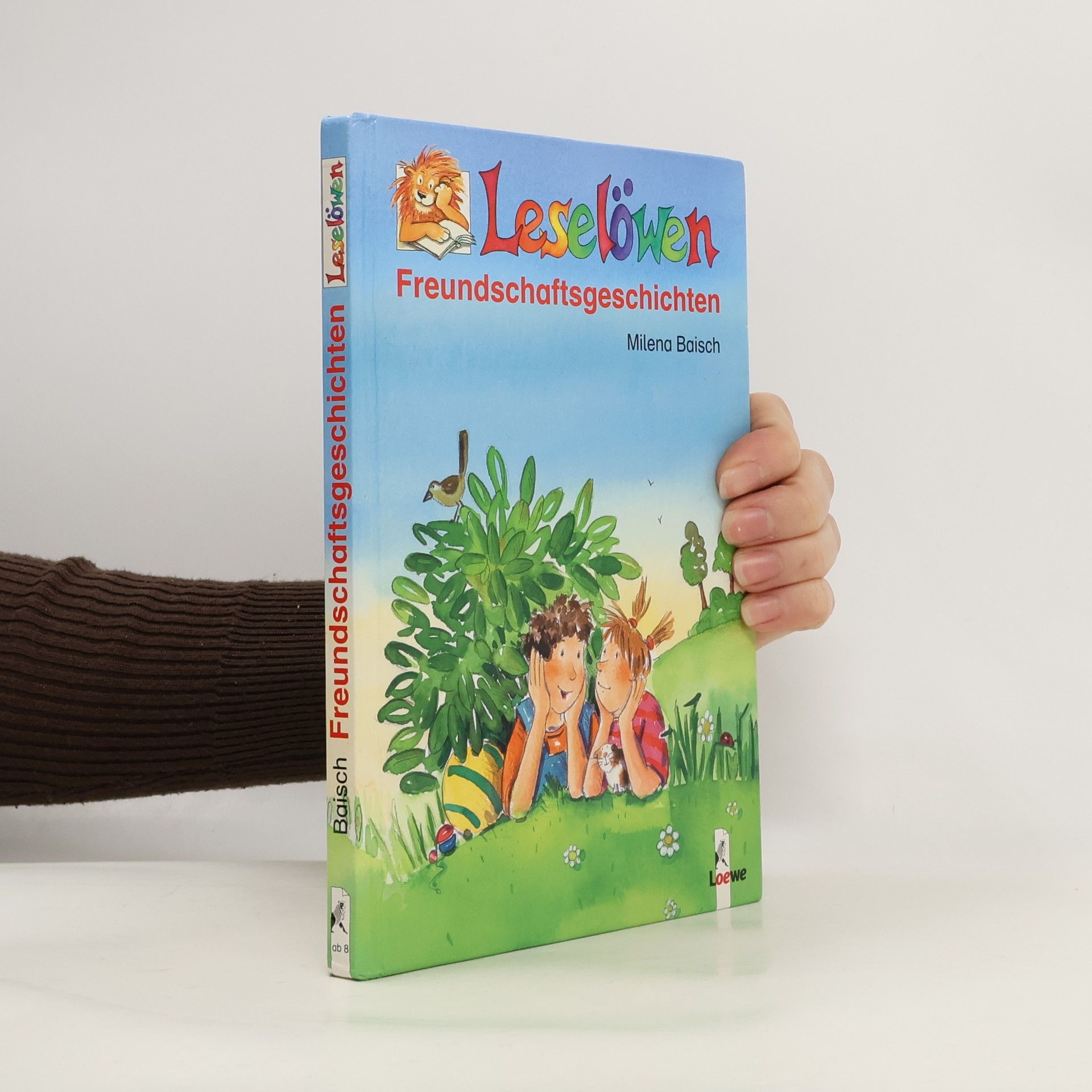 Leselöwen-Freundschaftsgeschichten