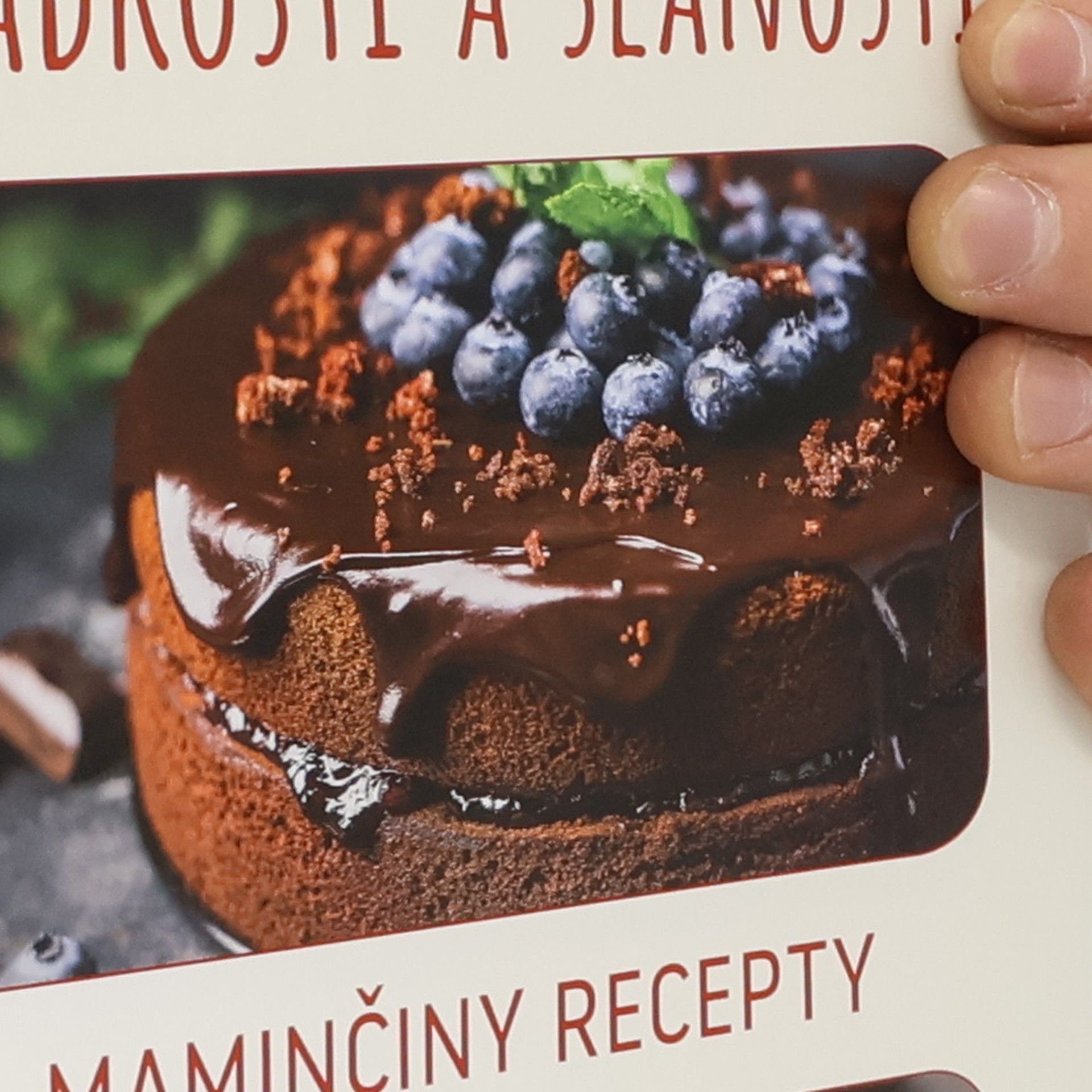 Sladkosti a slanosti : maminčiny recepty