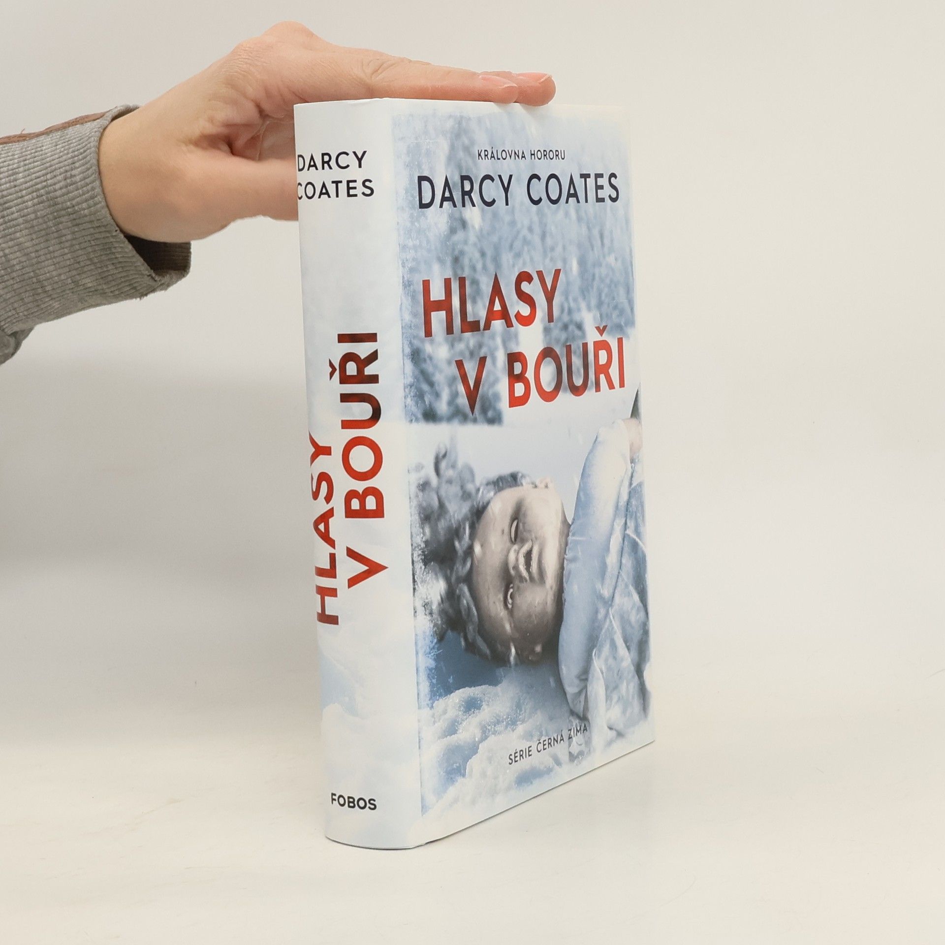 Darcy Coates Hlasy v bouři