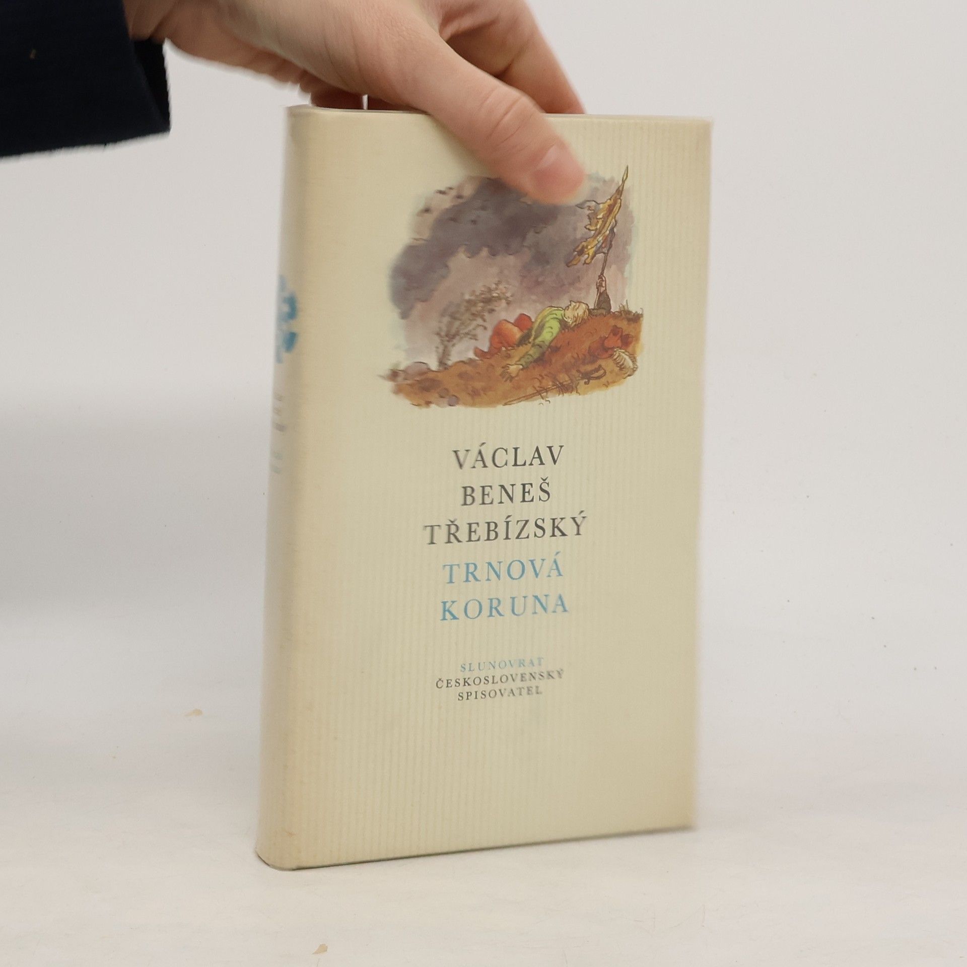 Václav Beneš Třebízský Trnová koruna