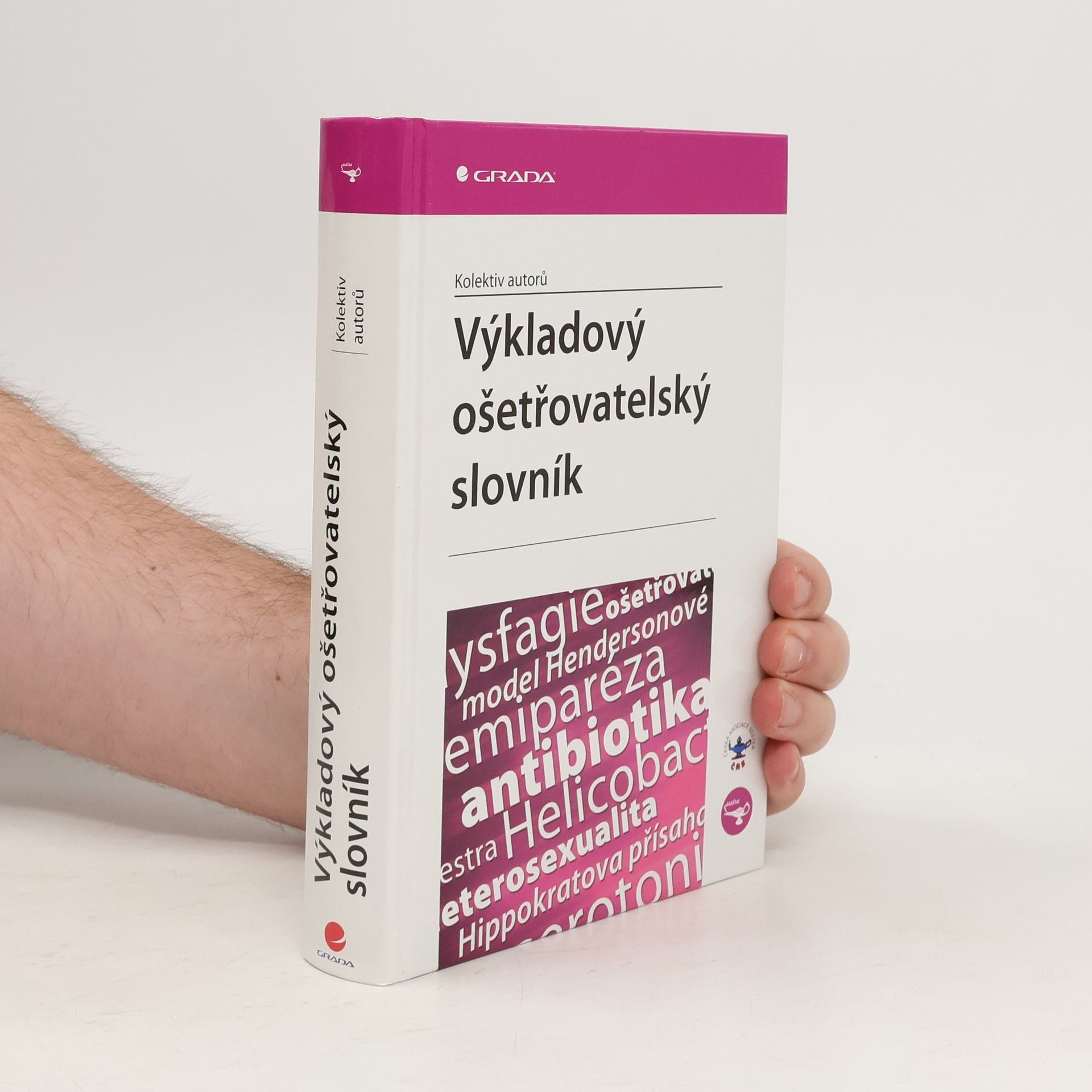 Kolektív autorov Výkladový ošetřovatelský slovník