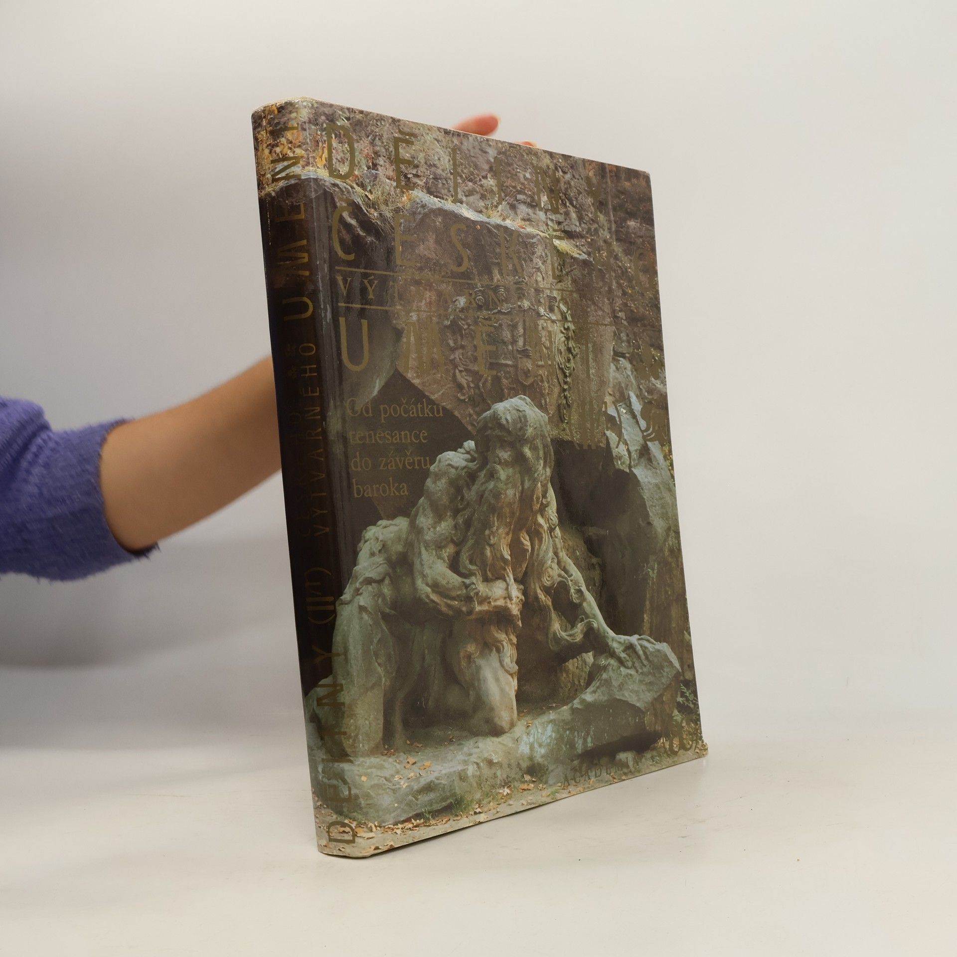 Kolektív autorov Dějiny českého výtvarného umění II/1