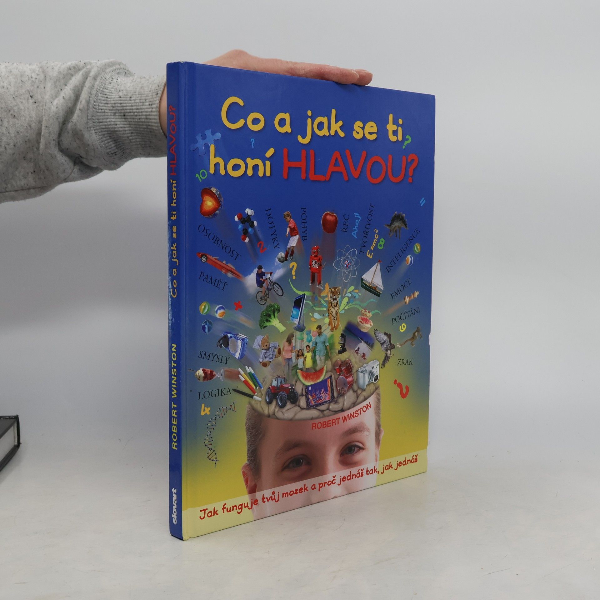 Co a jak se ti honí hlavou?