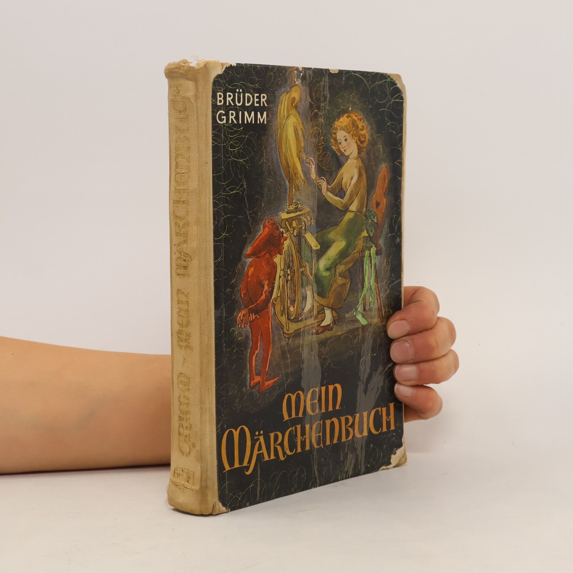 bratři Grimmové Mein Märchenbuch