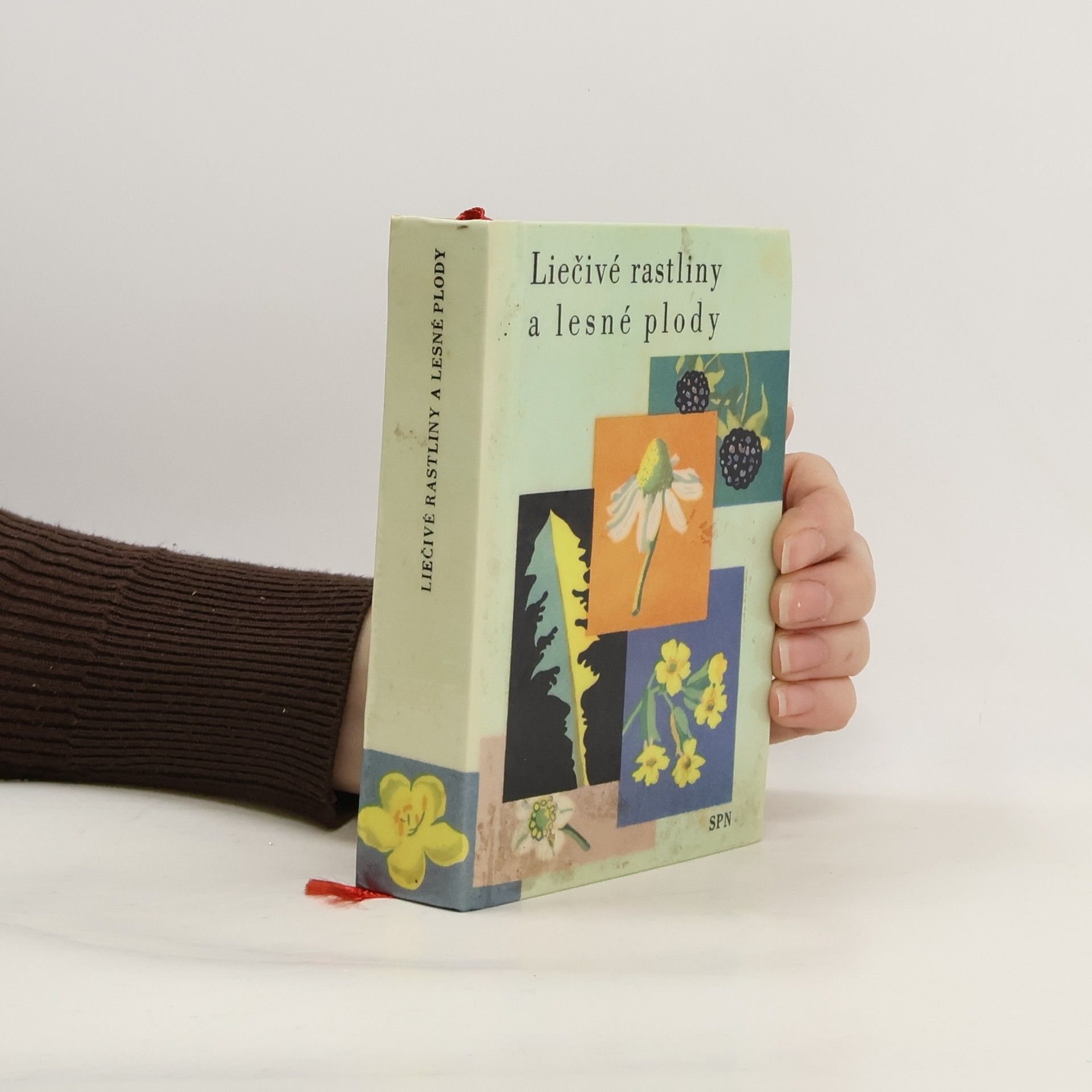 Marta Velgosová Liečivé rastliny a lesné plody