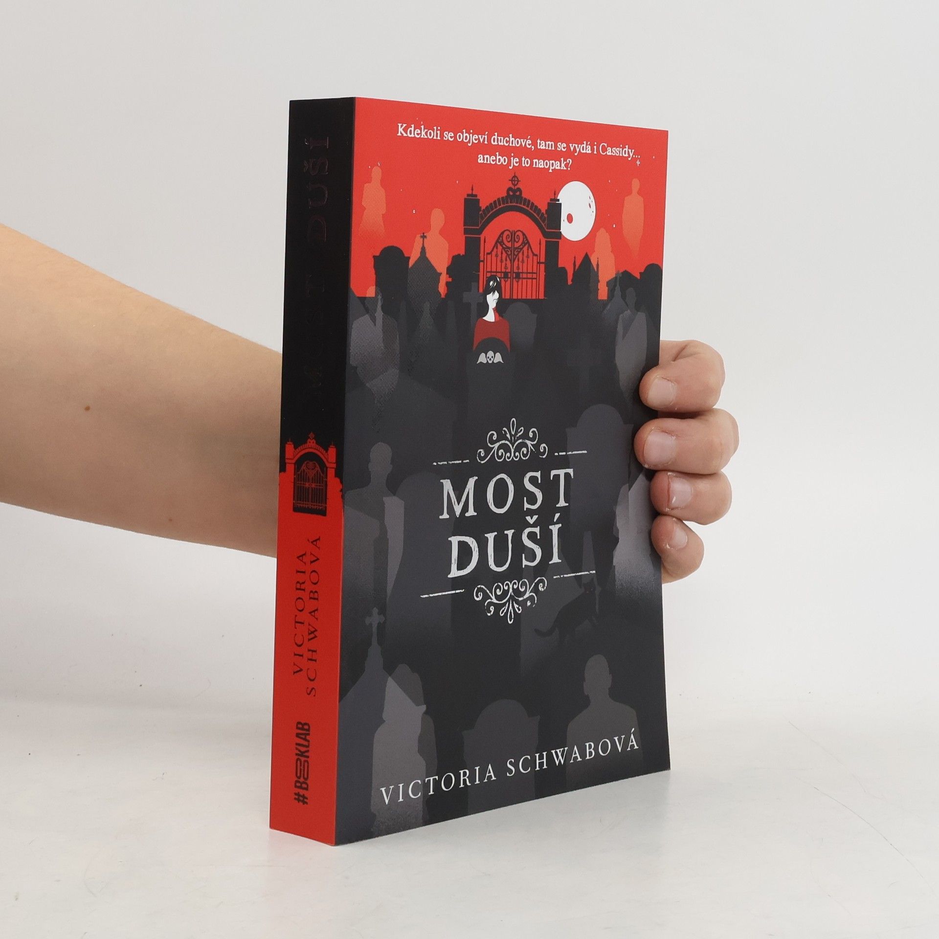 V. E. Schwab Most duší