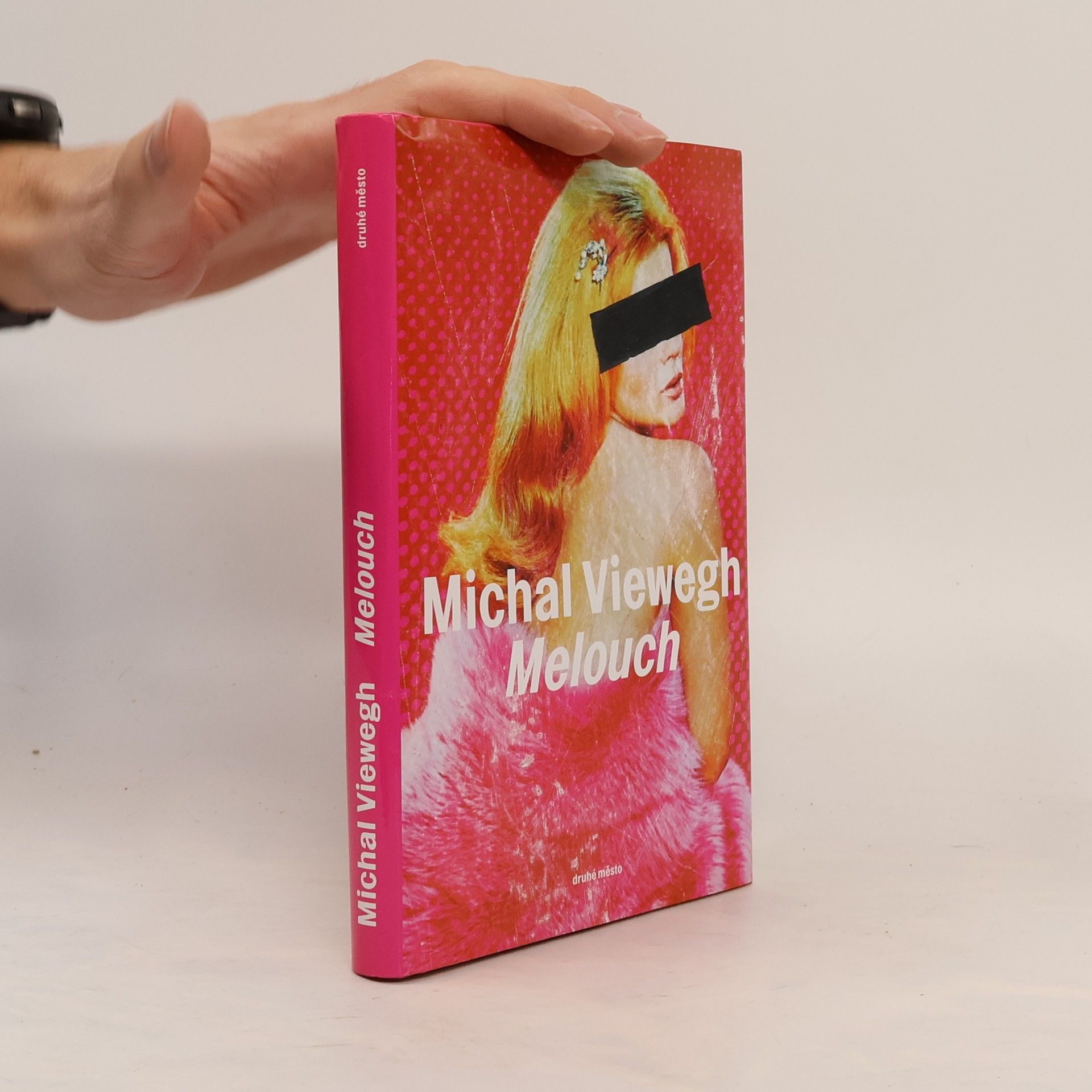 Michal Viewegh Melouch