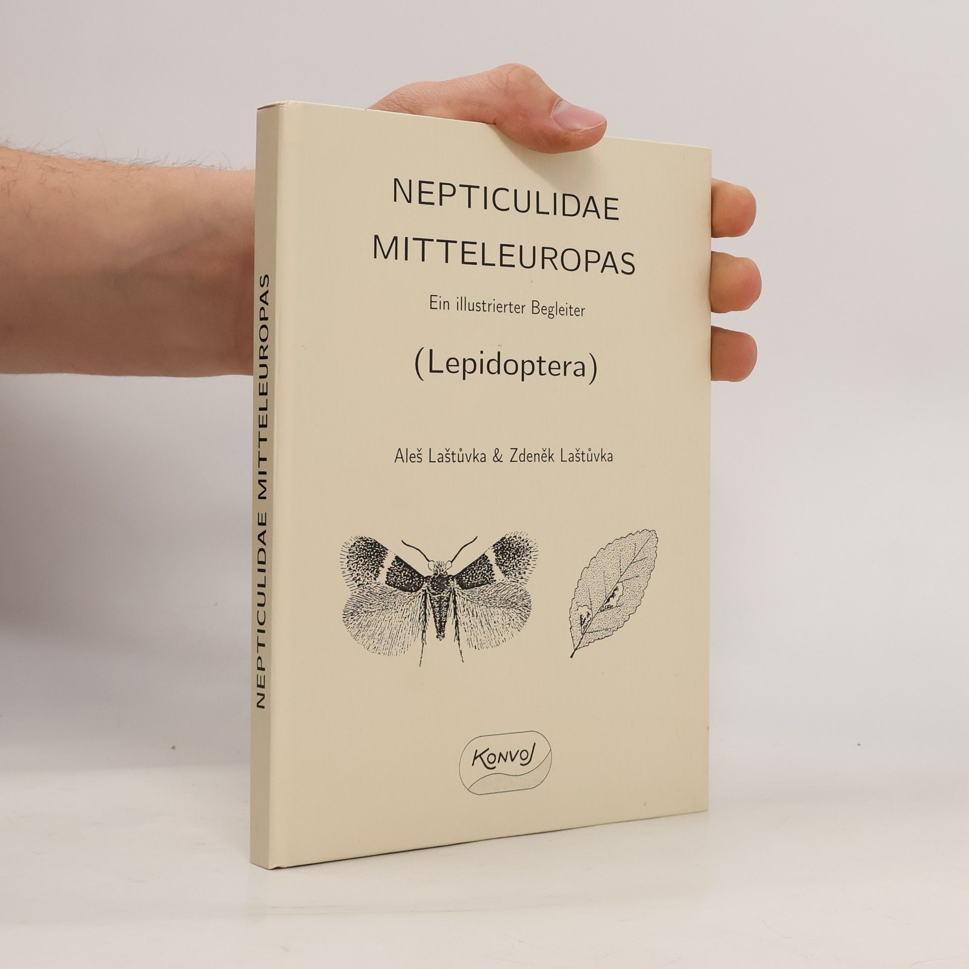 Nepticulidae Mitteleuropas