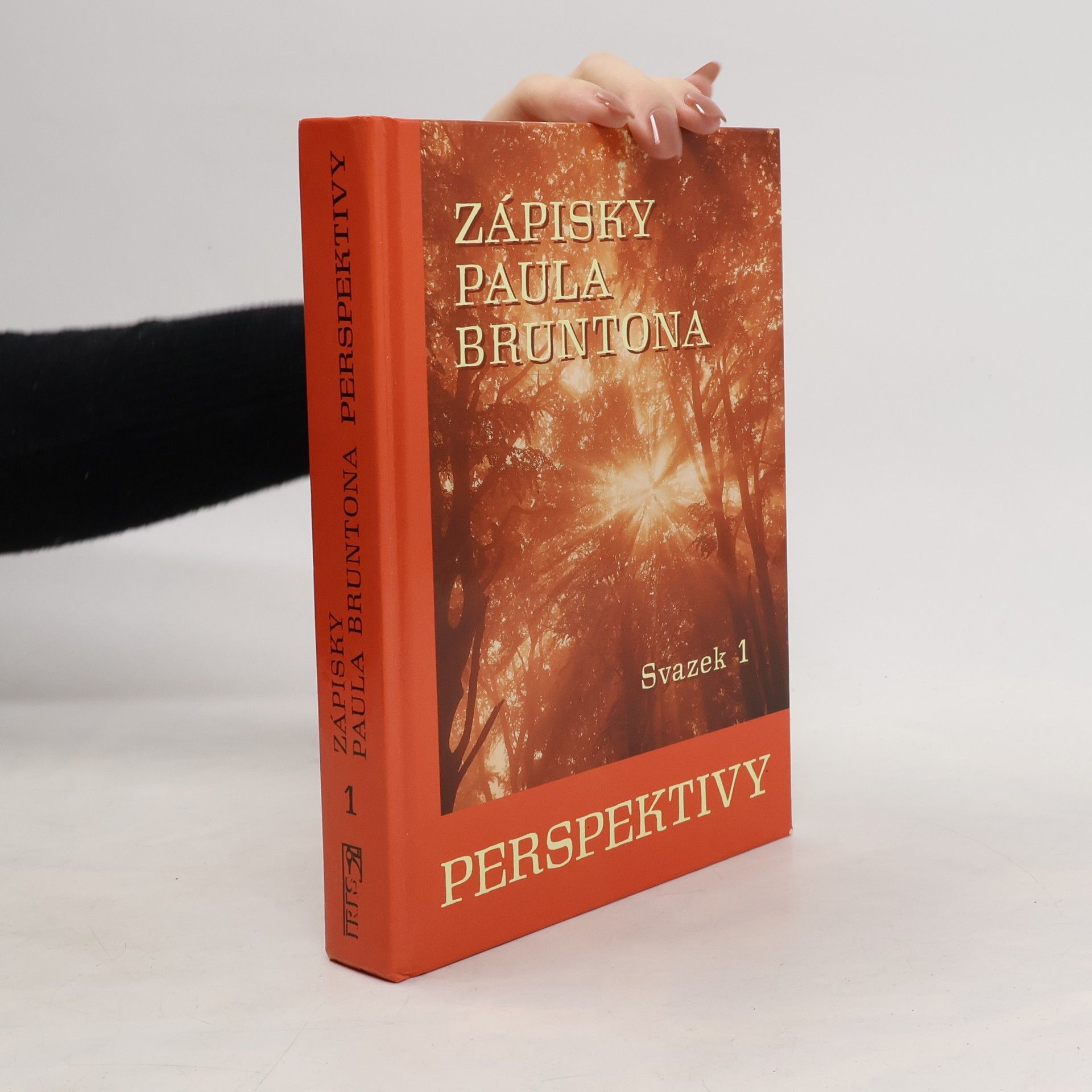 Paul Brunton Zápisky Paula Bruntona. Perspektivy