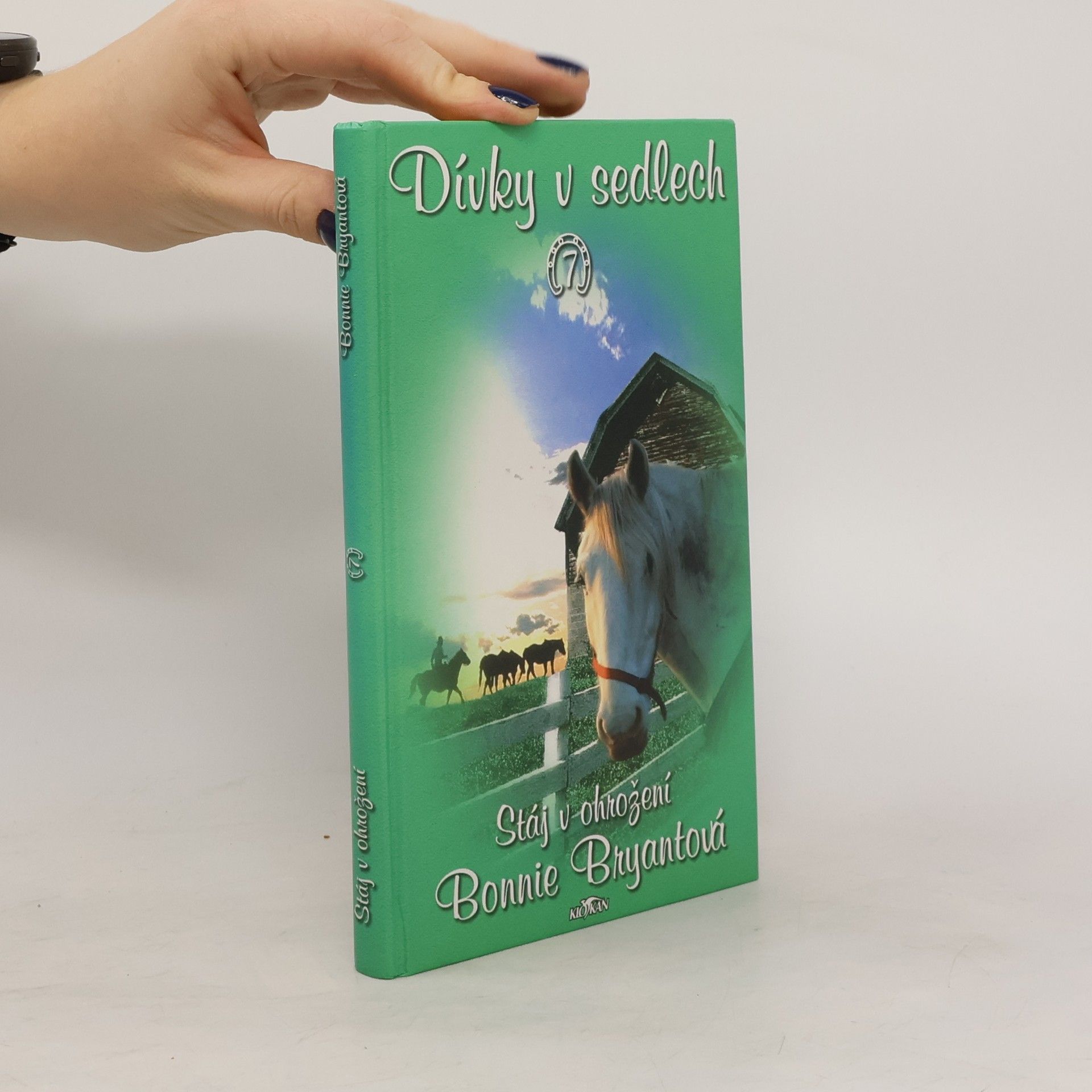 Bonnie Bryant Dívky v sedlech. 7, Stáj v ohrožení