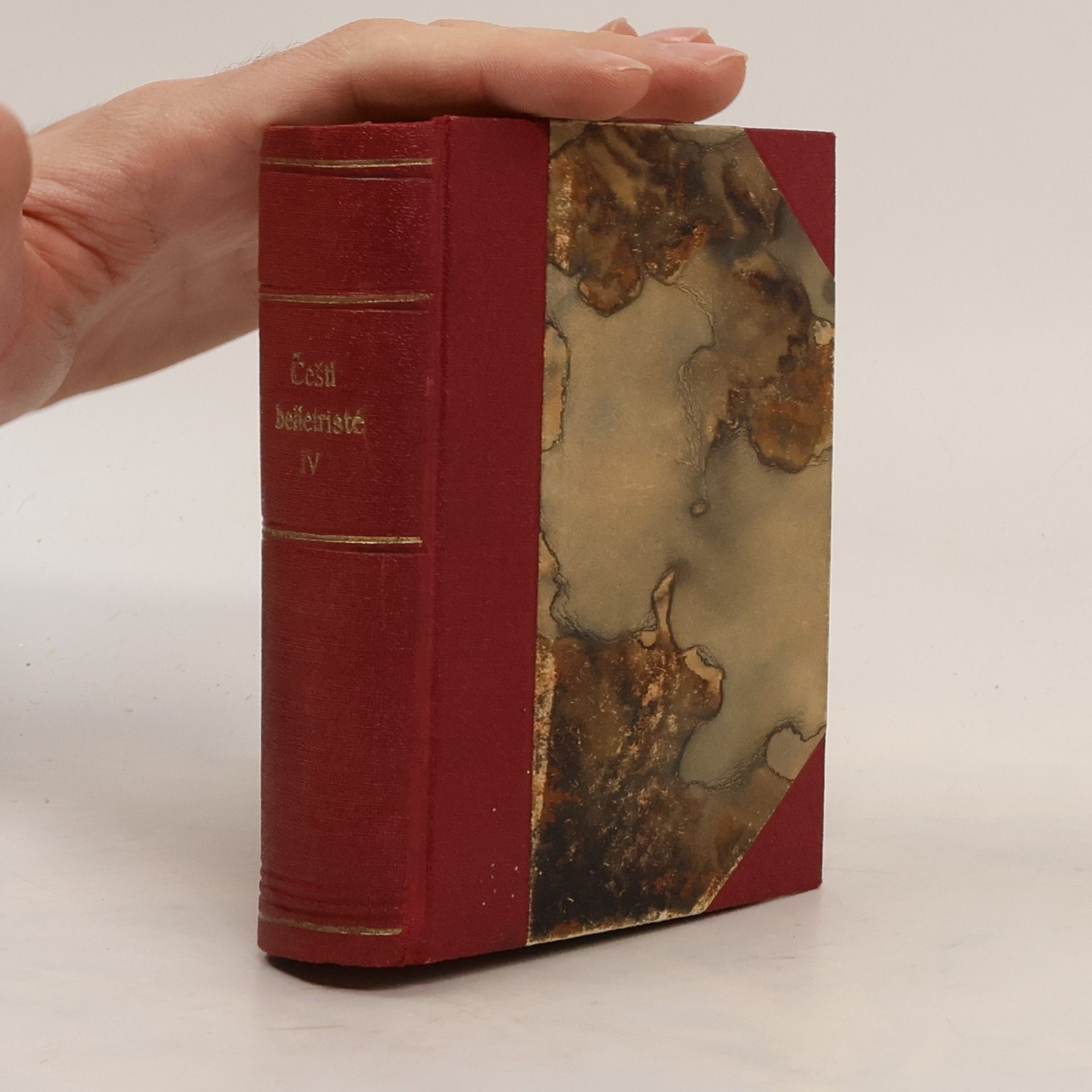 Karel Hynek Mácha Cikáni