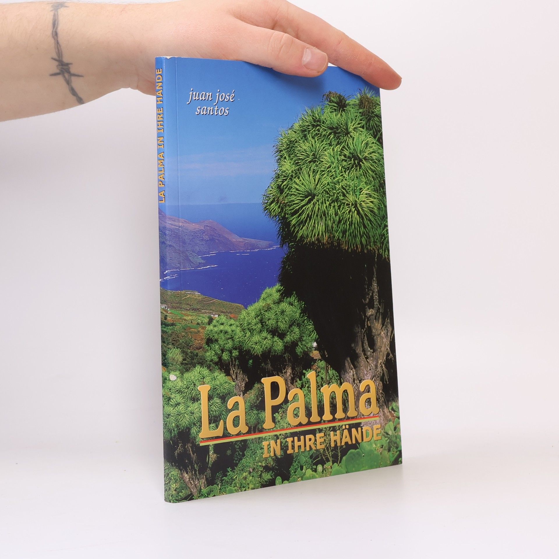 La Palma in Ihre Hände